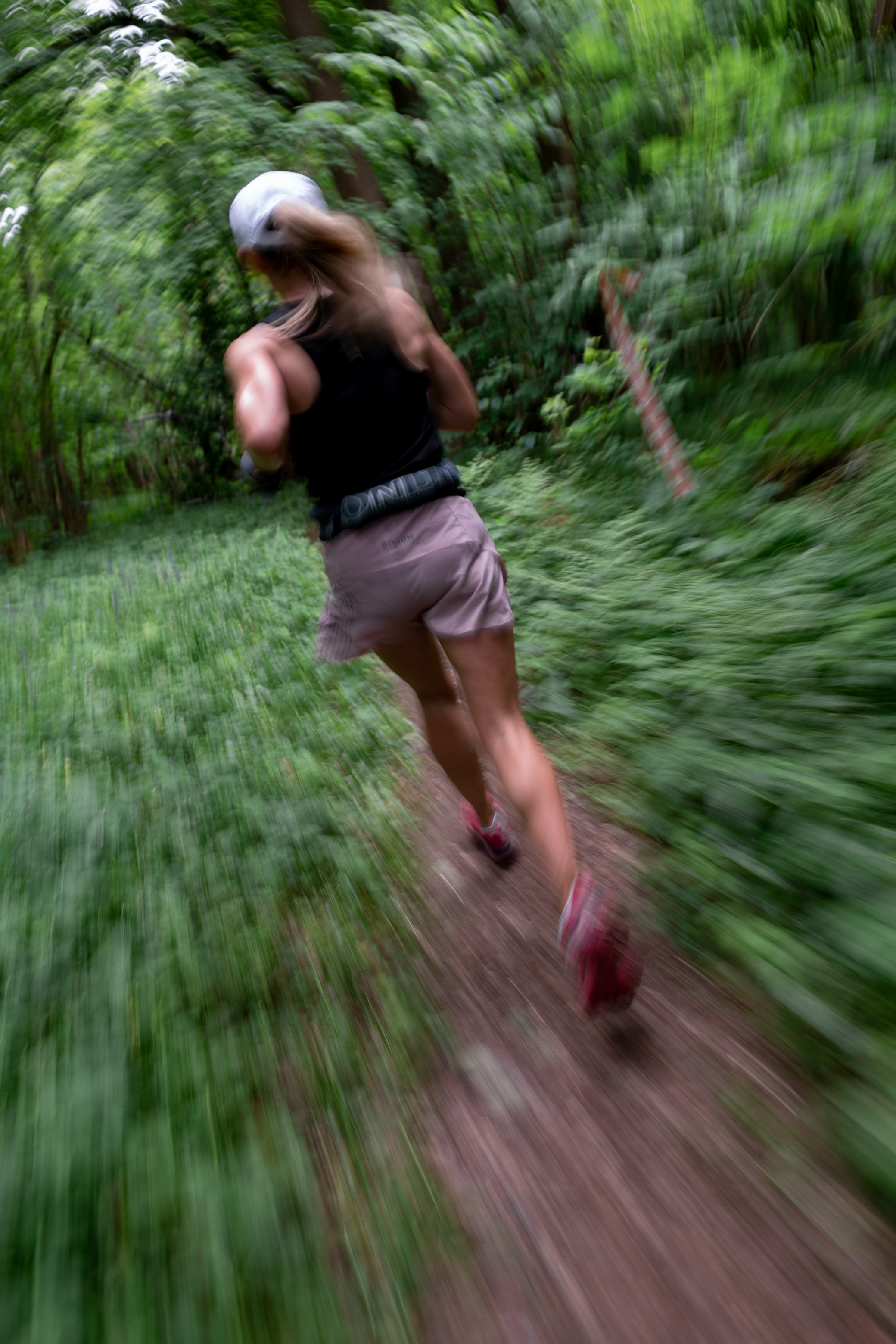 CityTrail Ромашково