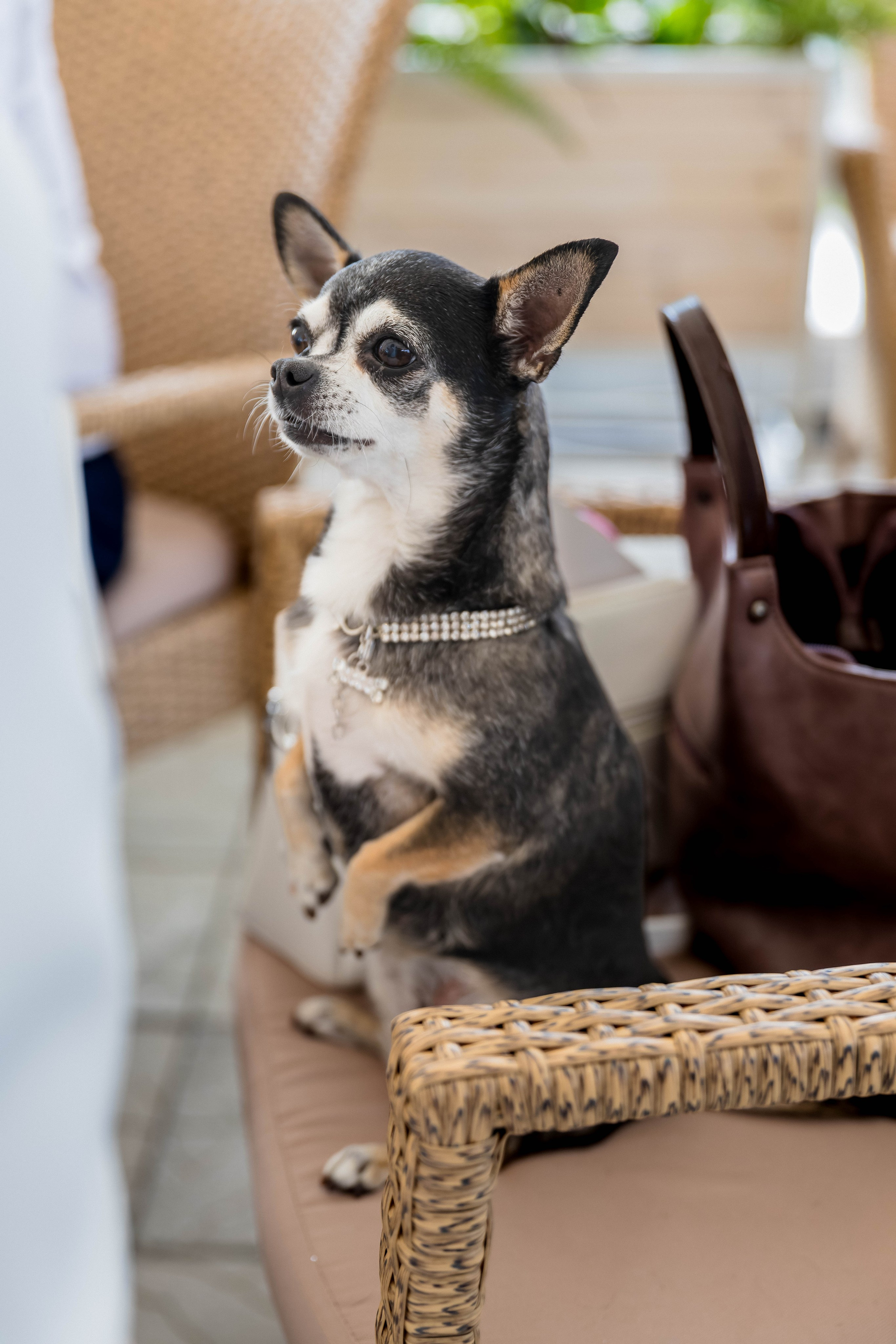 Фотограф в Самаре Максим Тырин