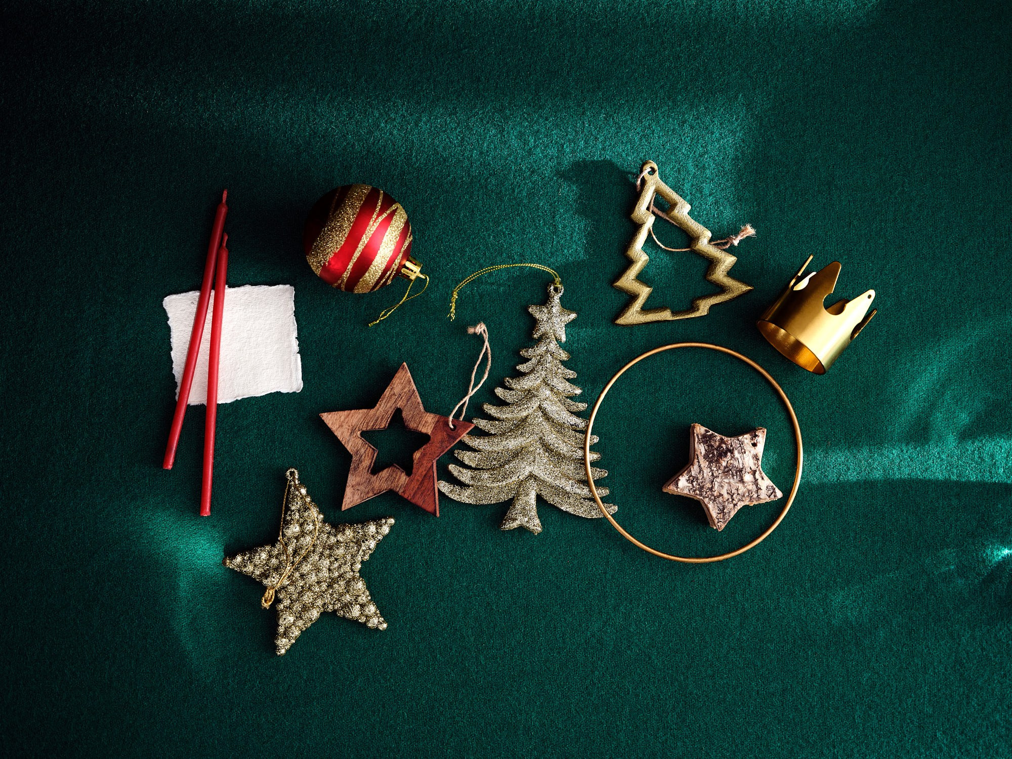 Ботанический Сад