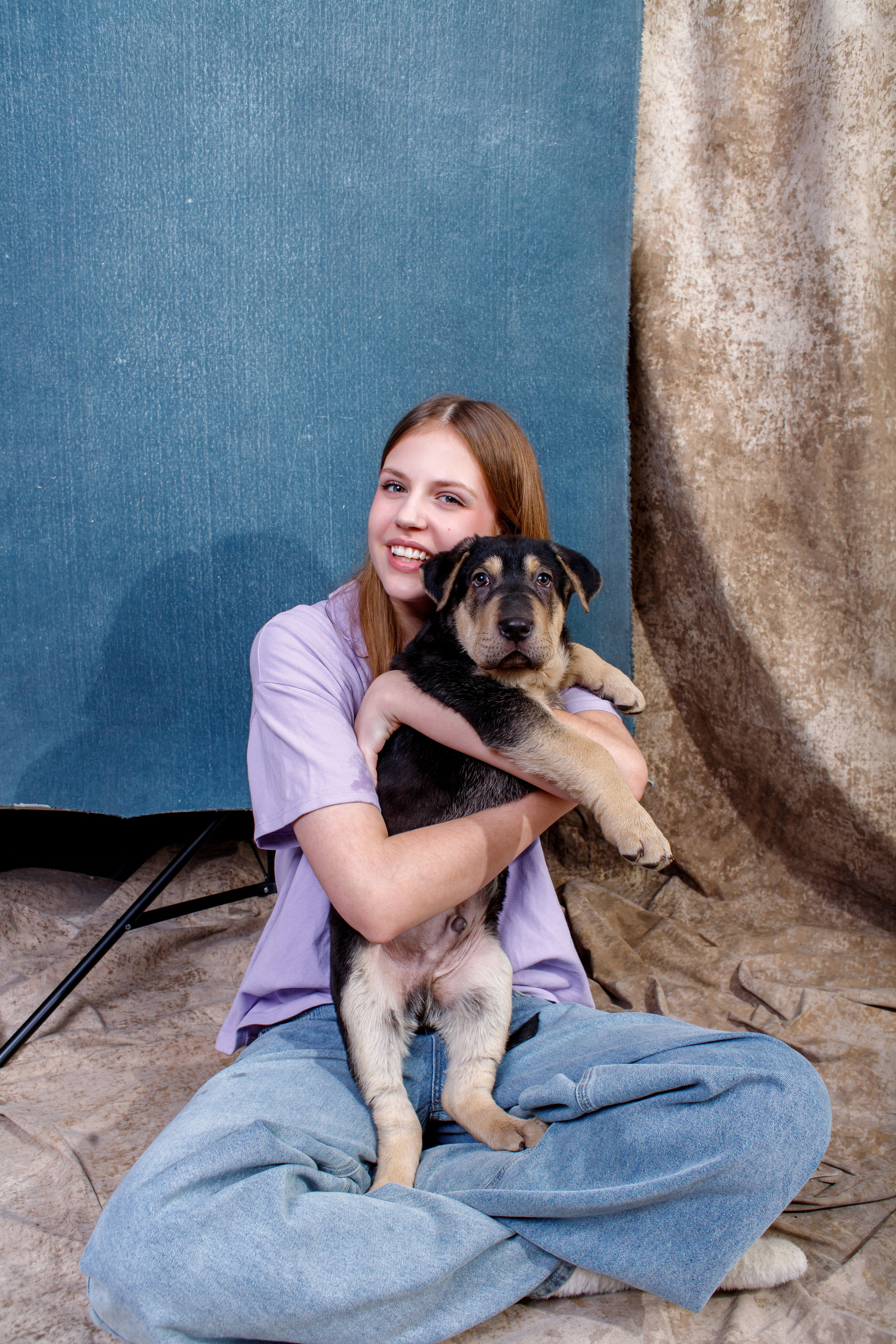 Молодёжное объединение Пропаганда помогает бездомным собакам.