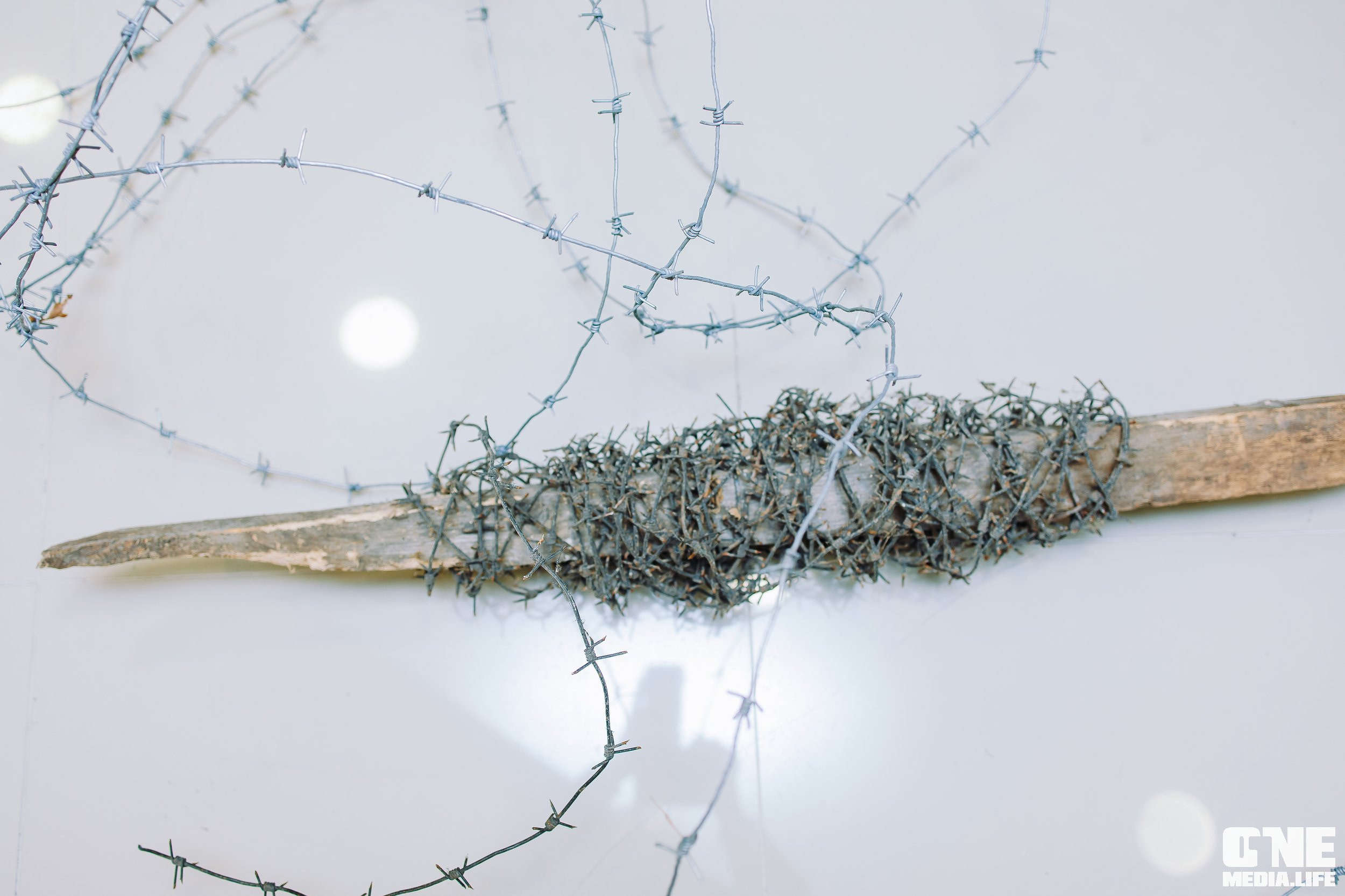 Балтийский Культурный Форум. День 2. One Media Life: фоторепортажи, фотоотчеты с мероприятий и заведений