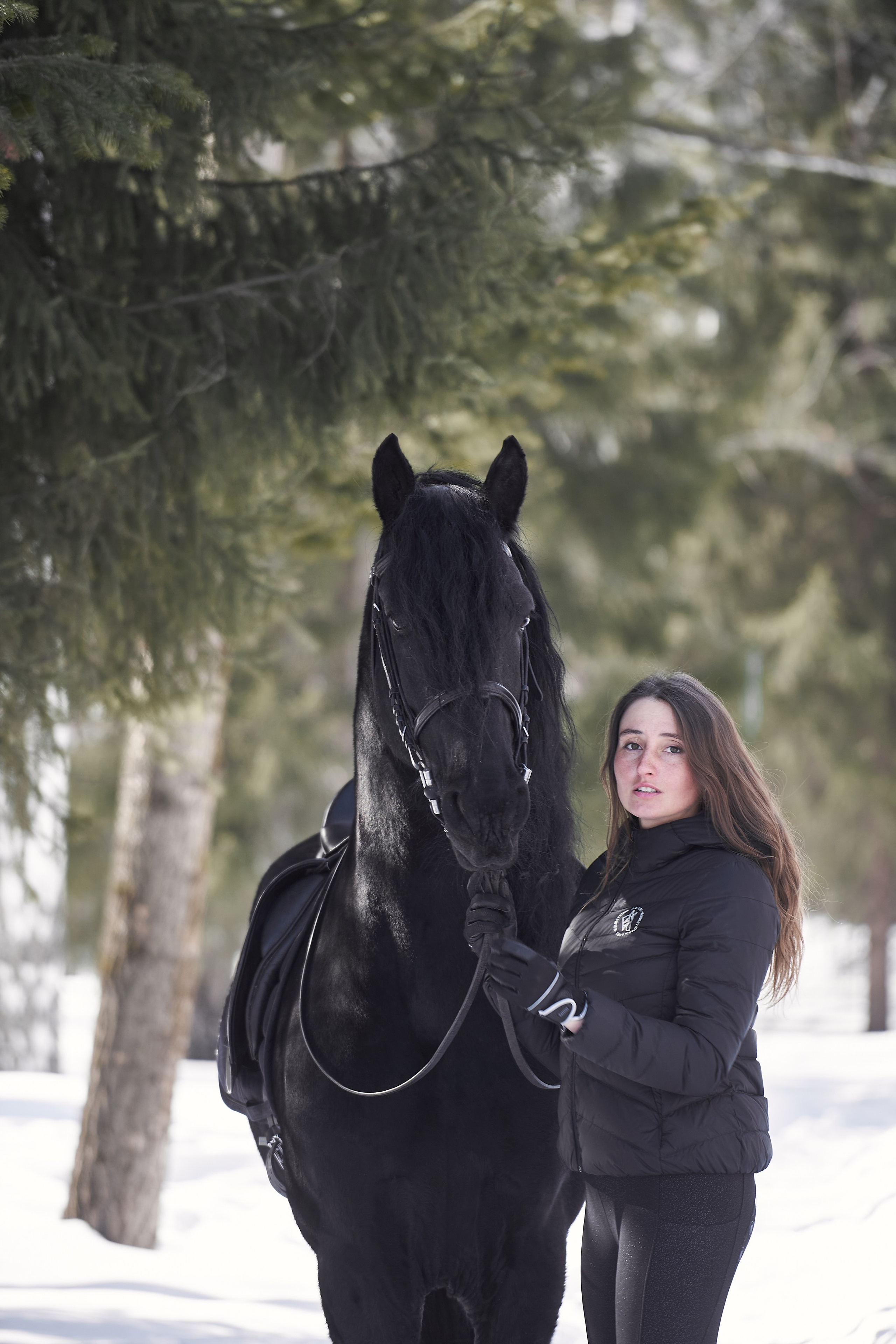Фотосессии с лошадьми в Москве, Новосибирске