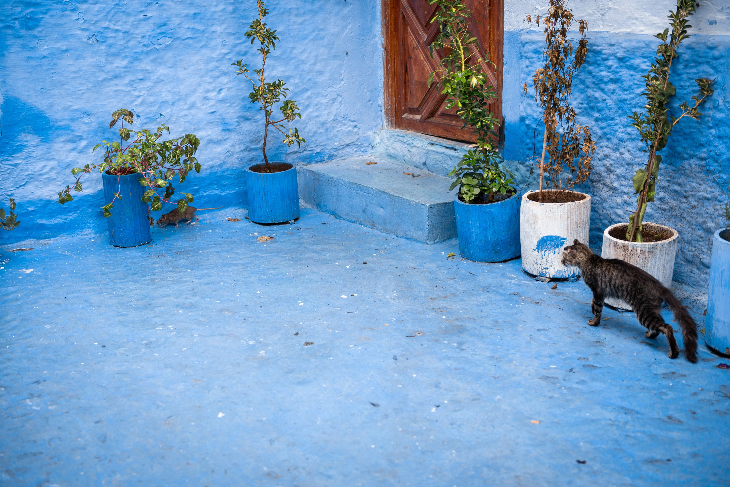 Марокко. Илья Варин — Фотограф Москва, Тверь