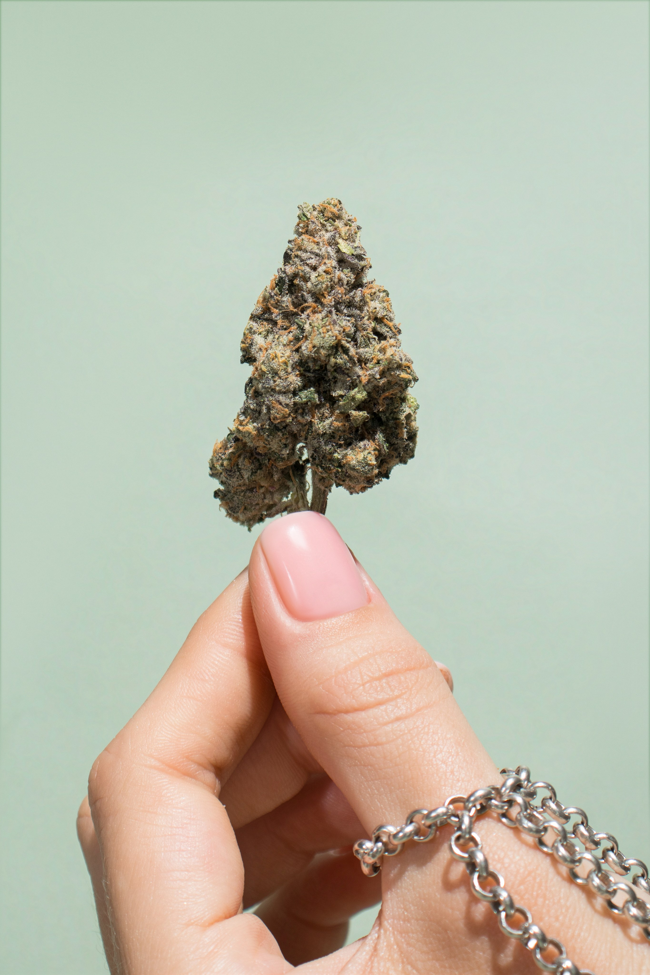 Product Photography in Phuket – For Marketplaces and Business Advertising