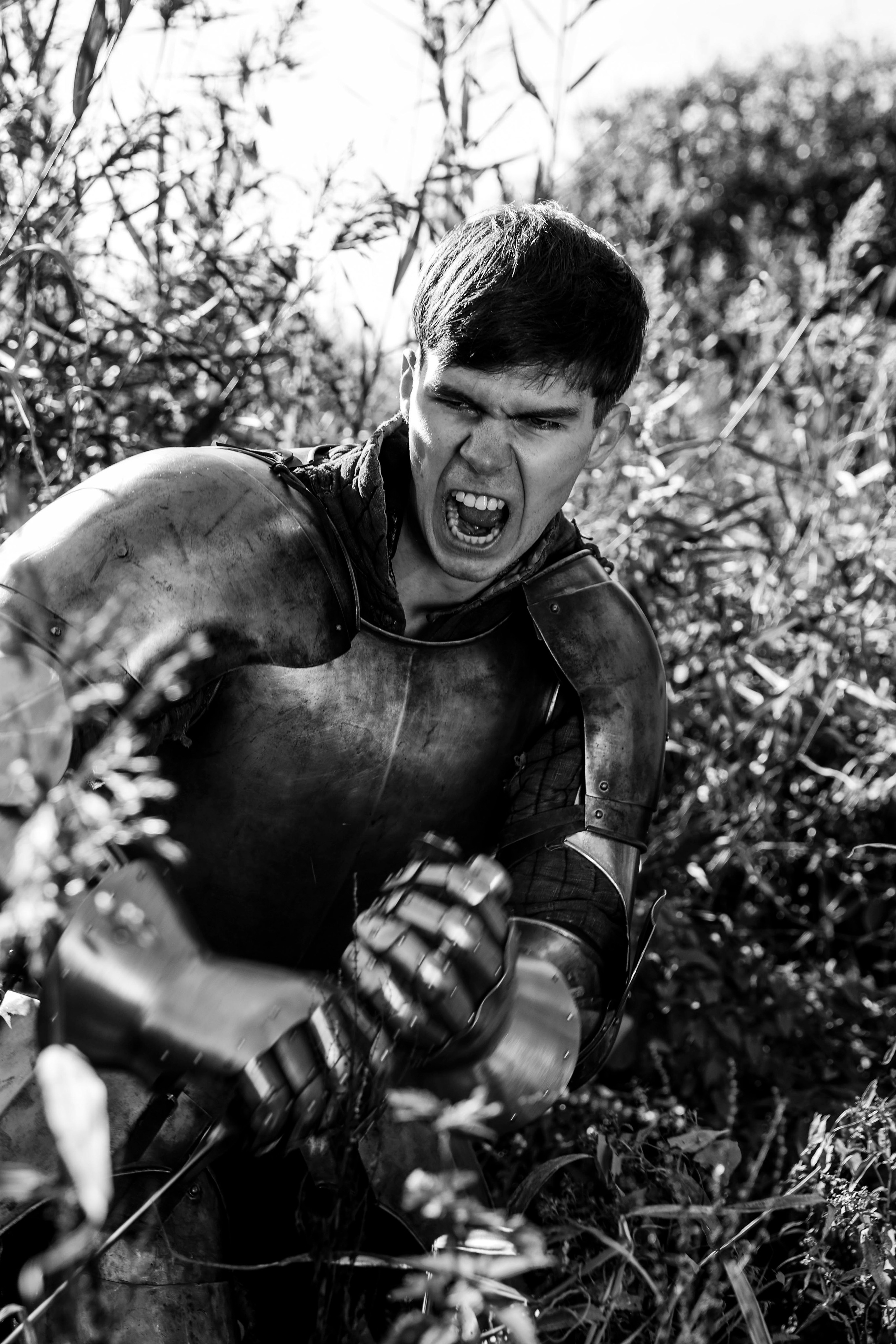 Knight. Dubrovina photo