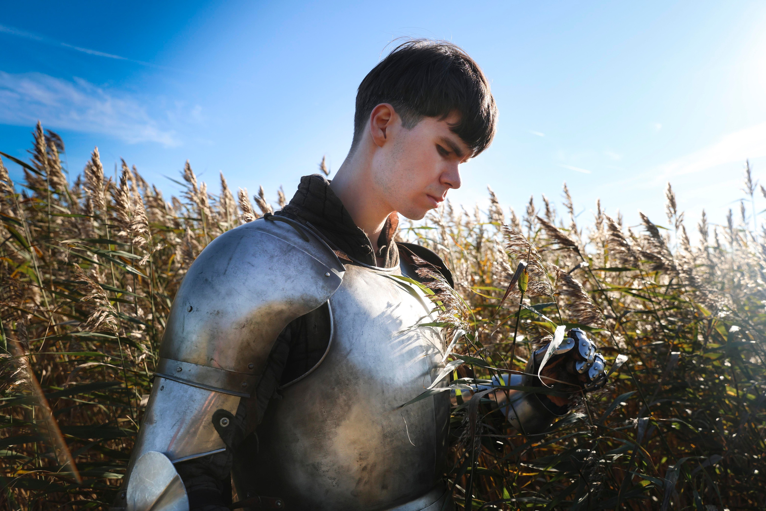 Knight. Dubrovina photo