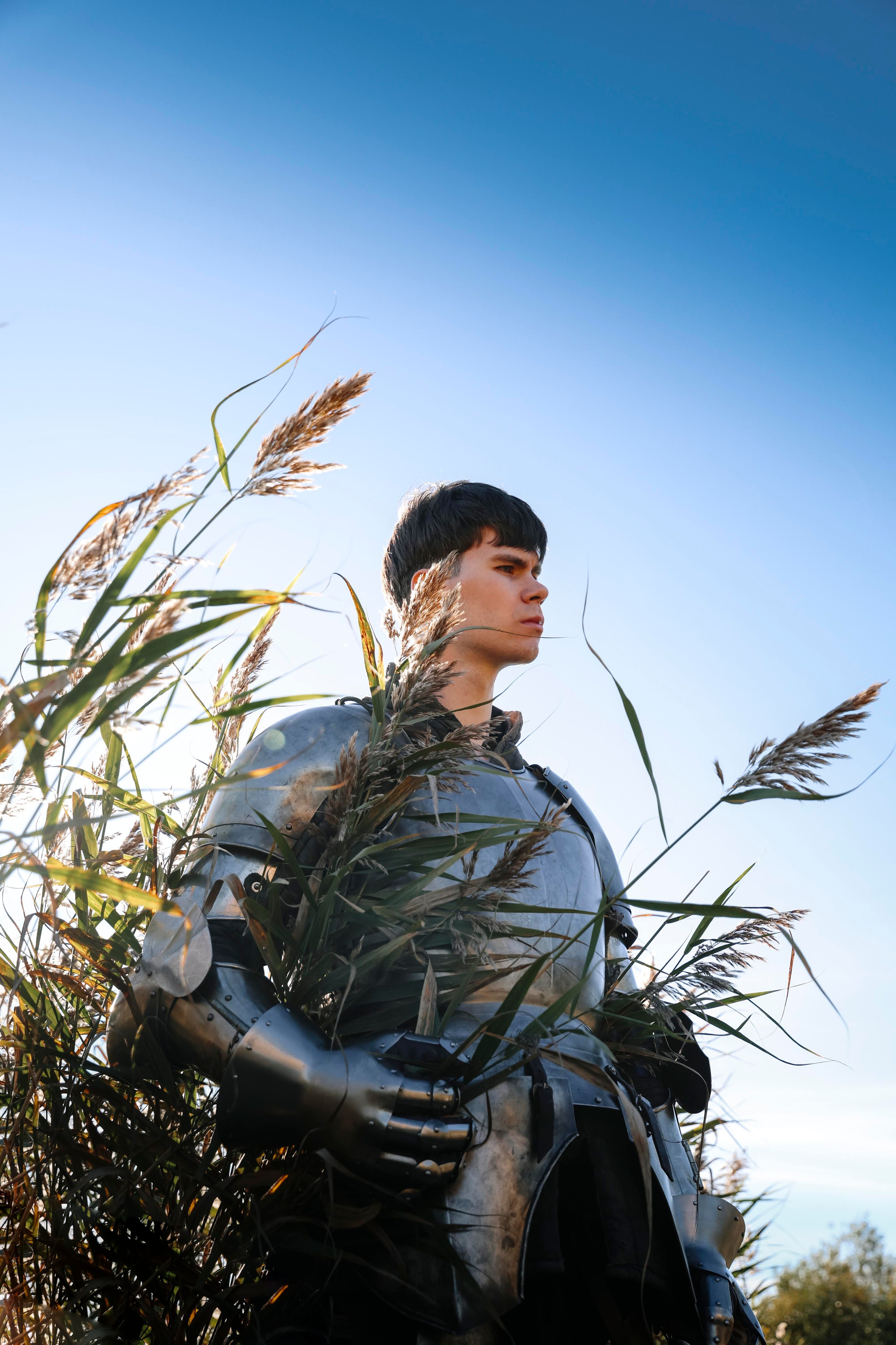 Knight. Dubrovina photo