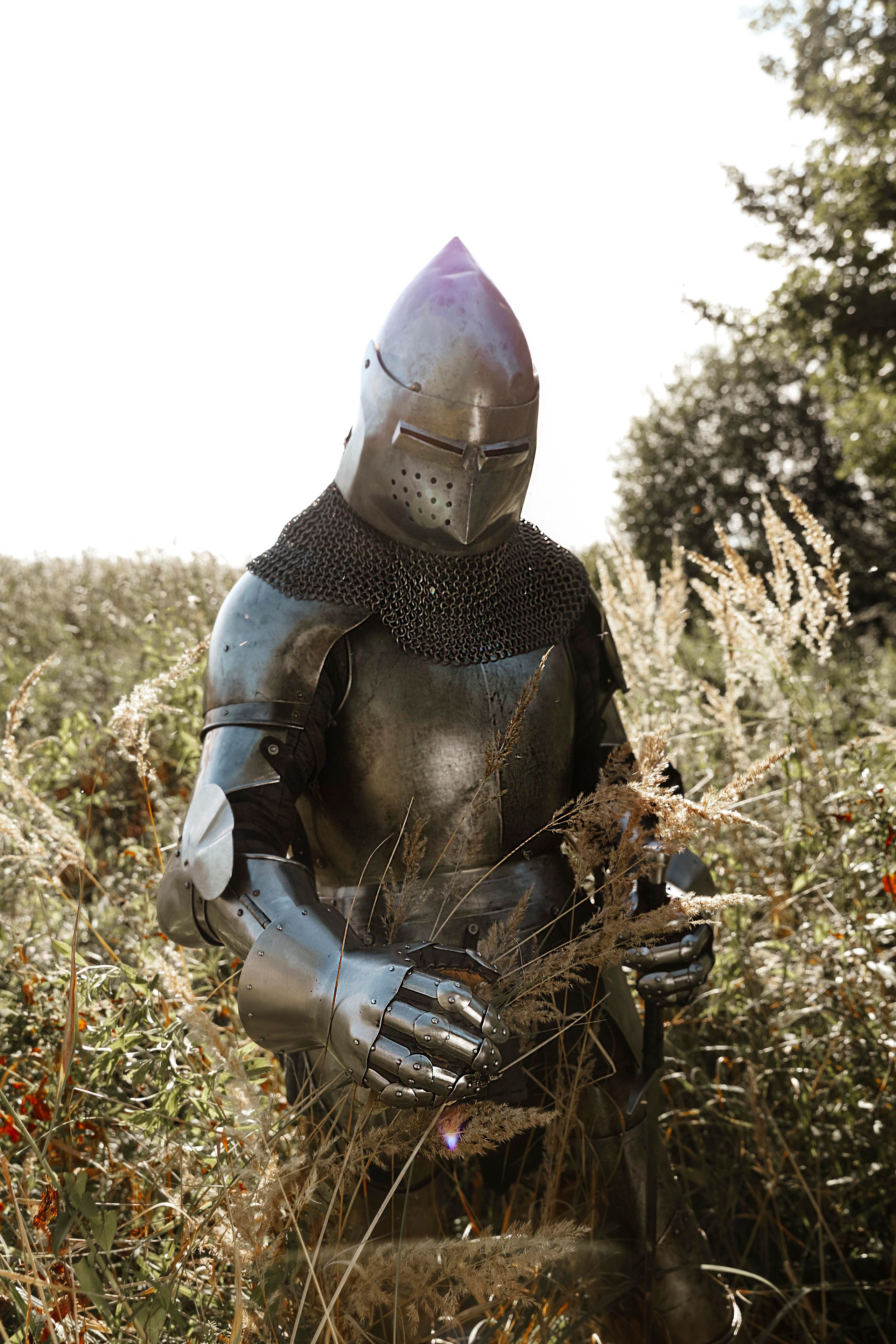 Knight. Dubrovina photo