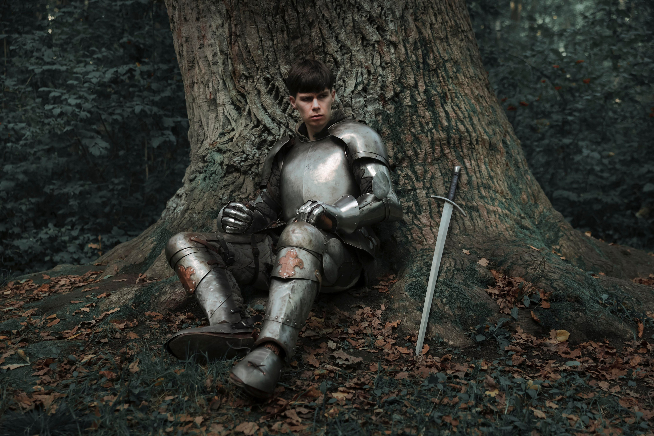 Knight. Dubrovina photo