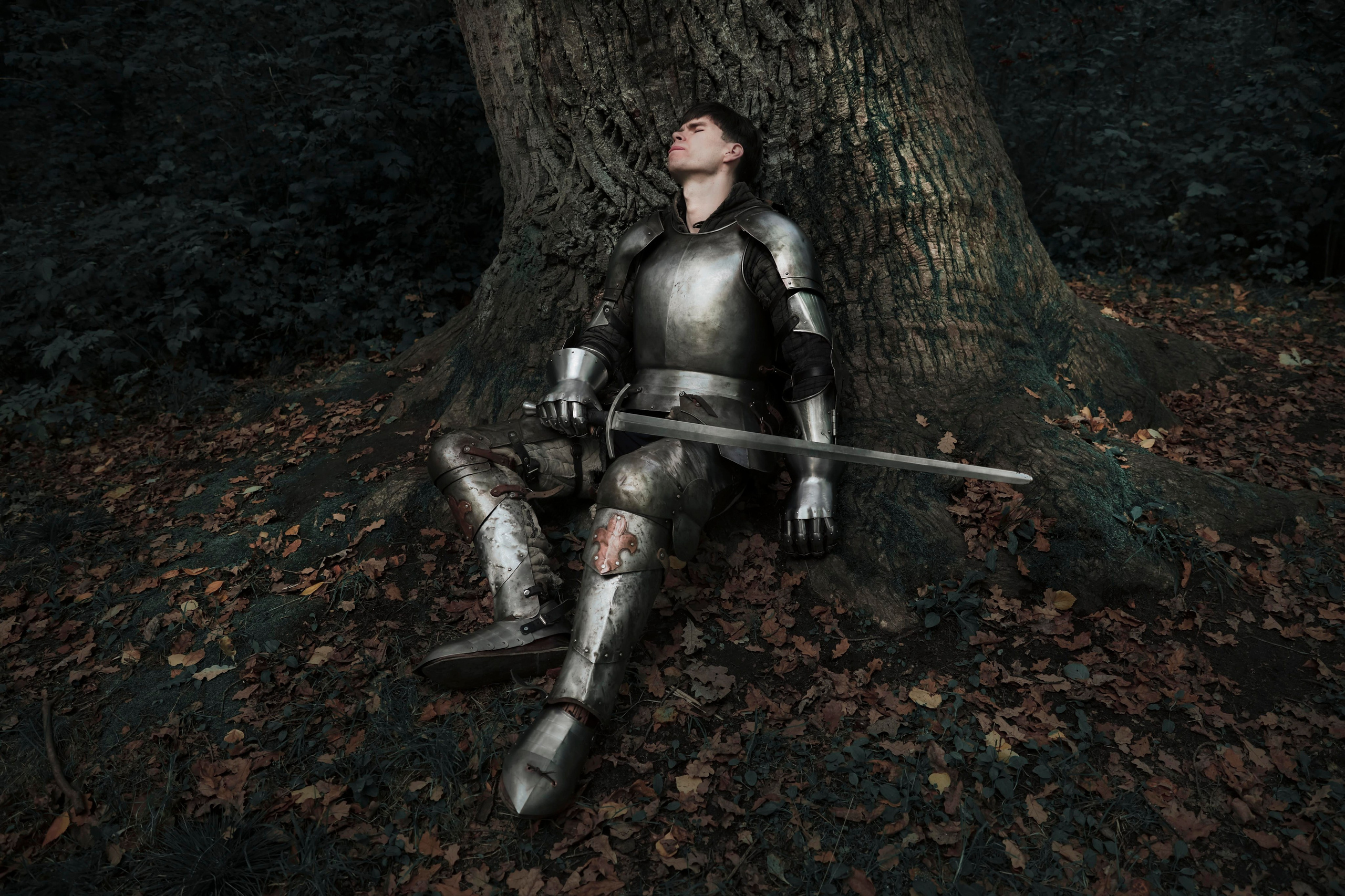 Knight. Dubrovina photo