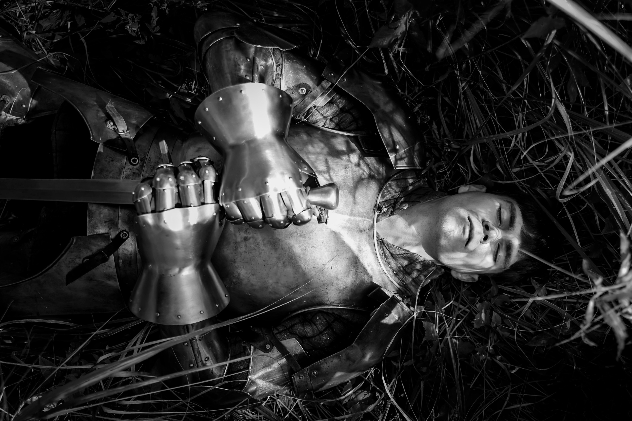 Knight. Dubrovina photo