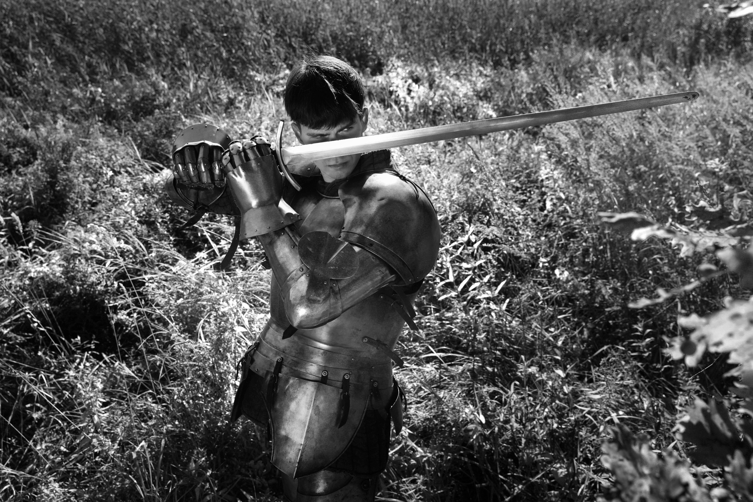 Knight. Dubrovina photo