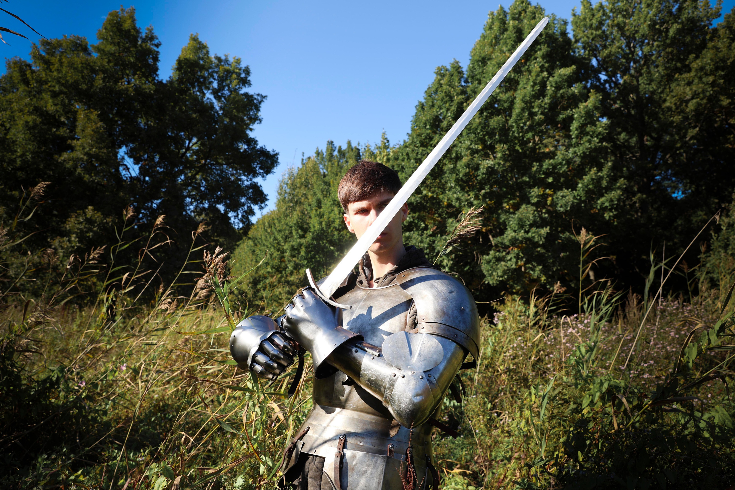 Knight. Dubrovina photo