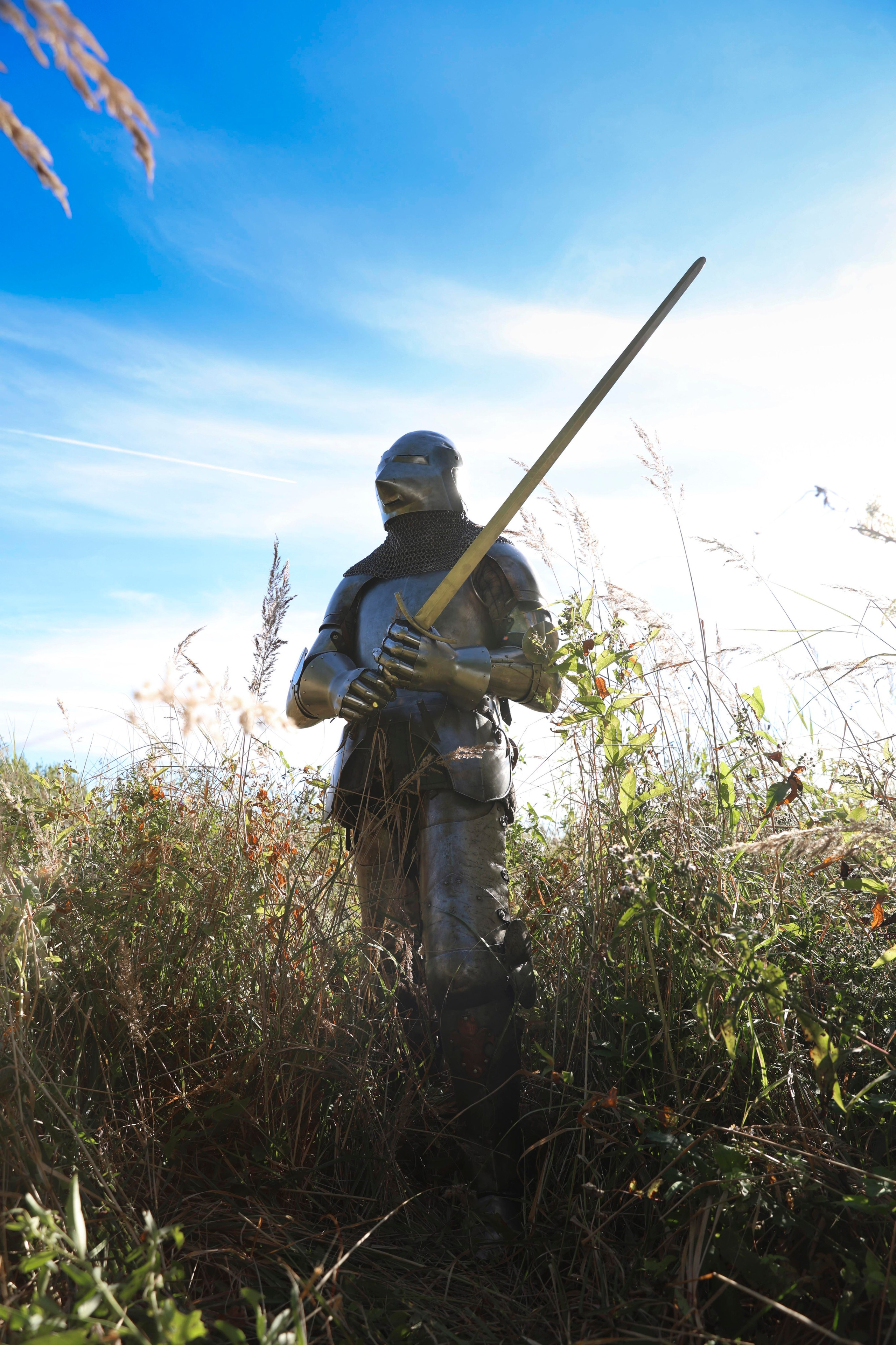 Knight. Dubrovina photo