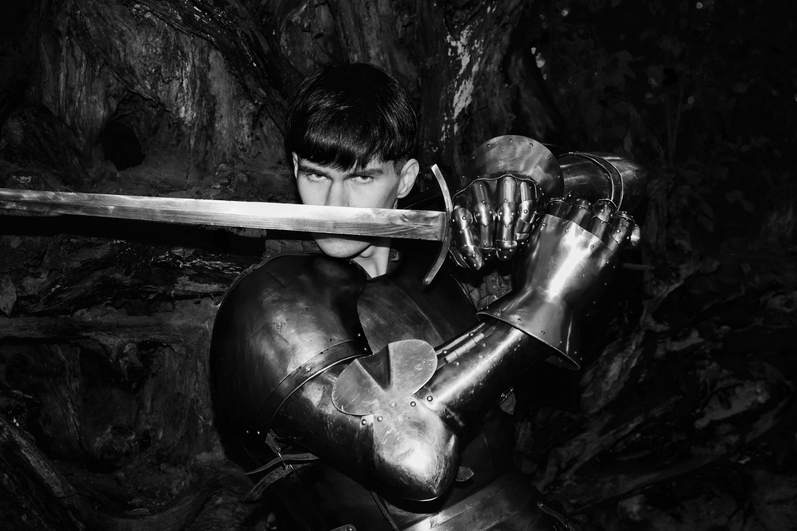 Knight. Dubrovina photo