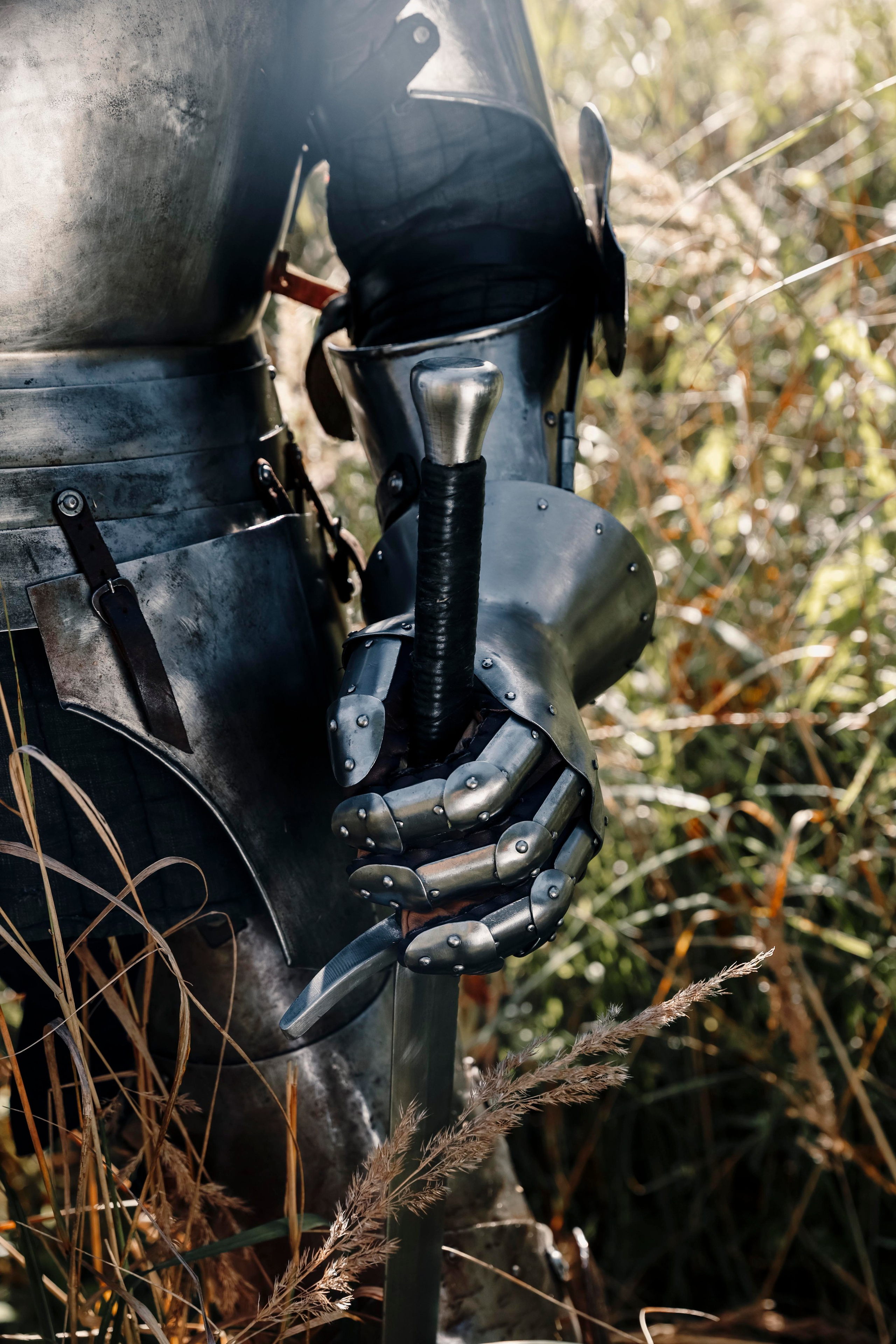 Knight. Dubrovina photo