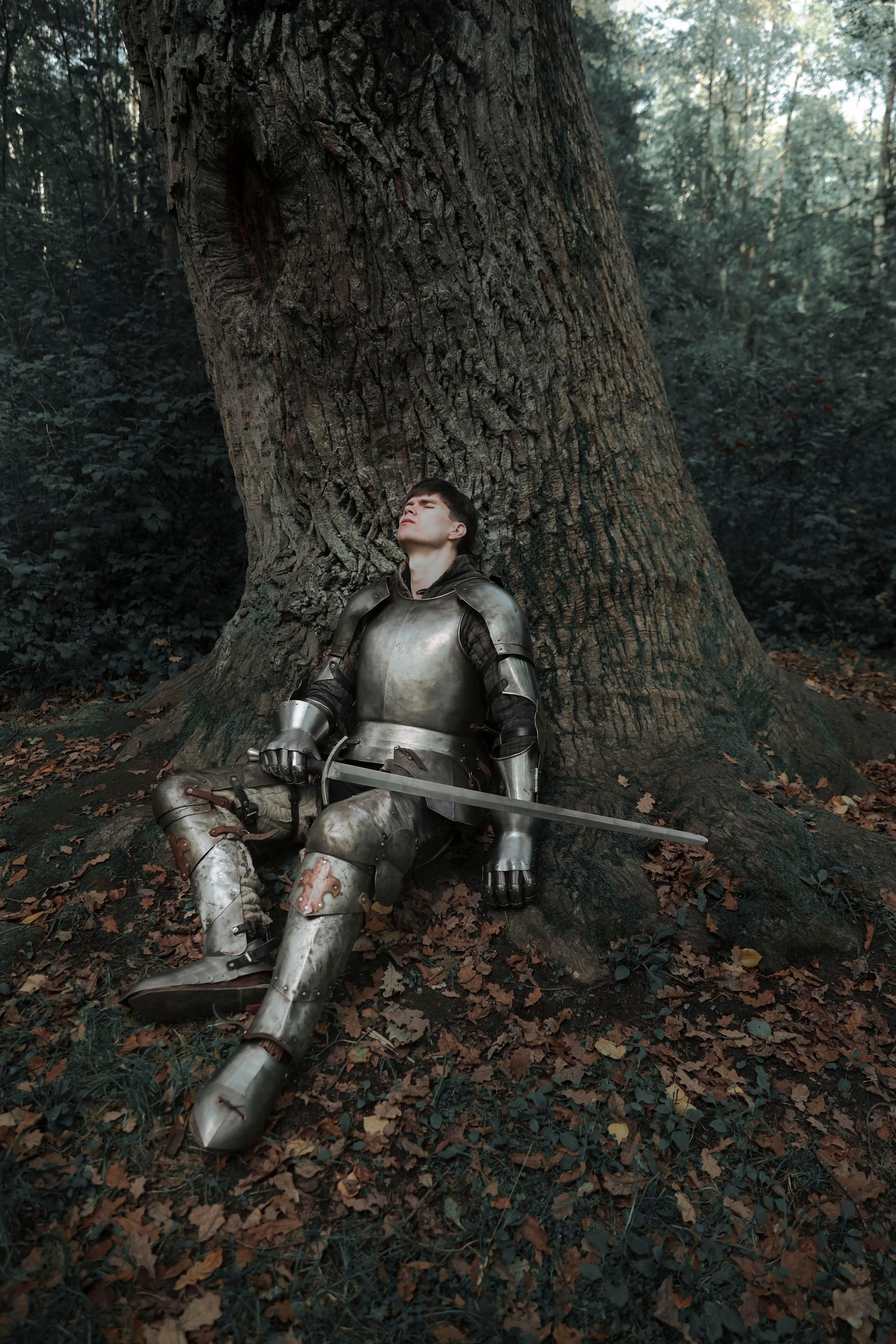 Knight. Dubrovina photo