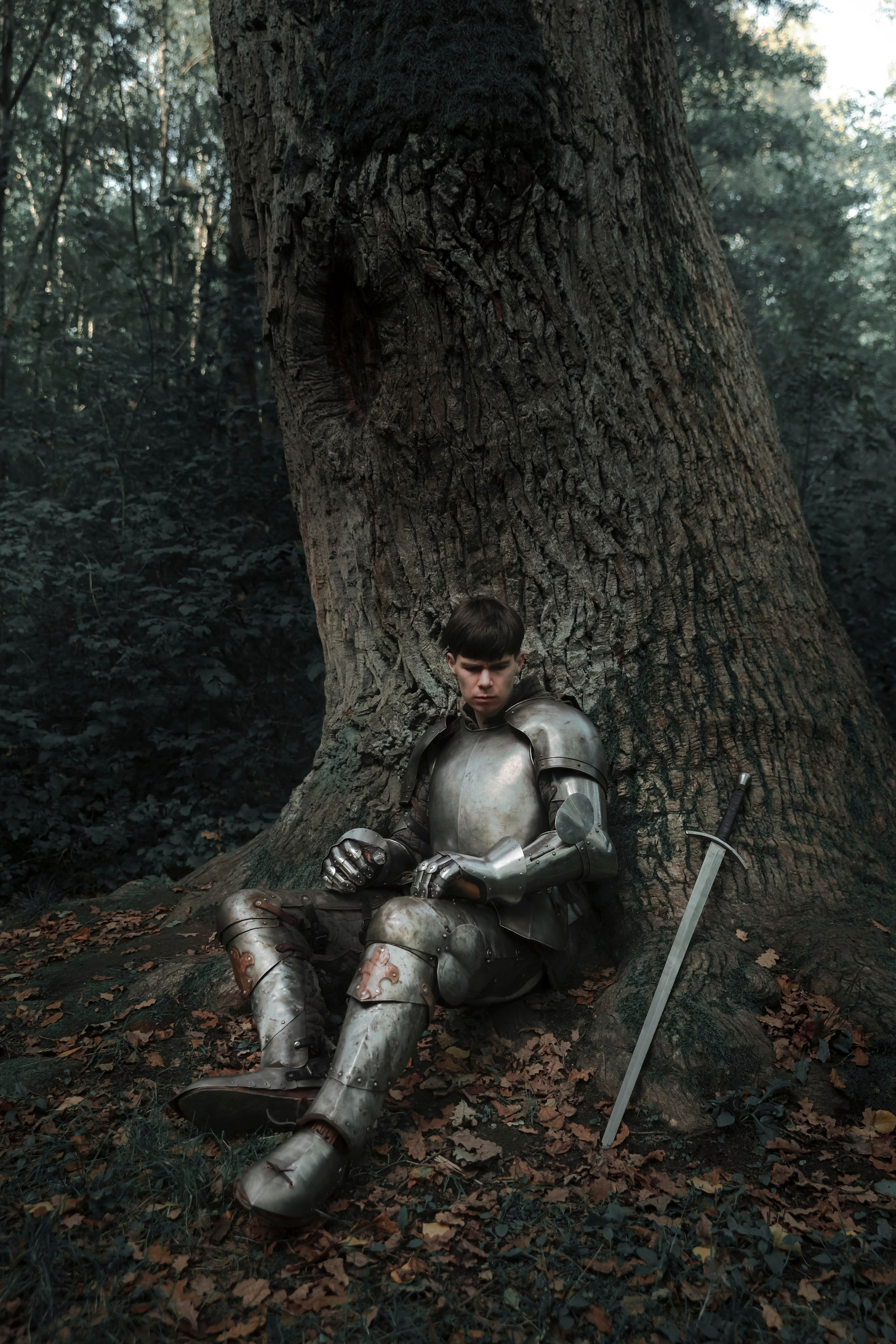 Knight. Dubrovina photo