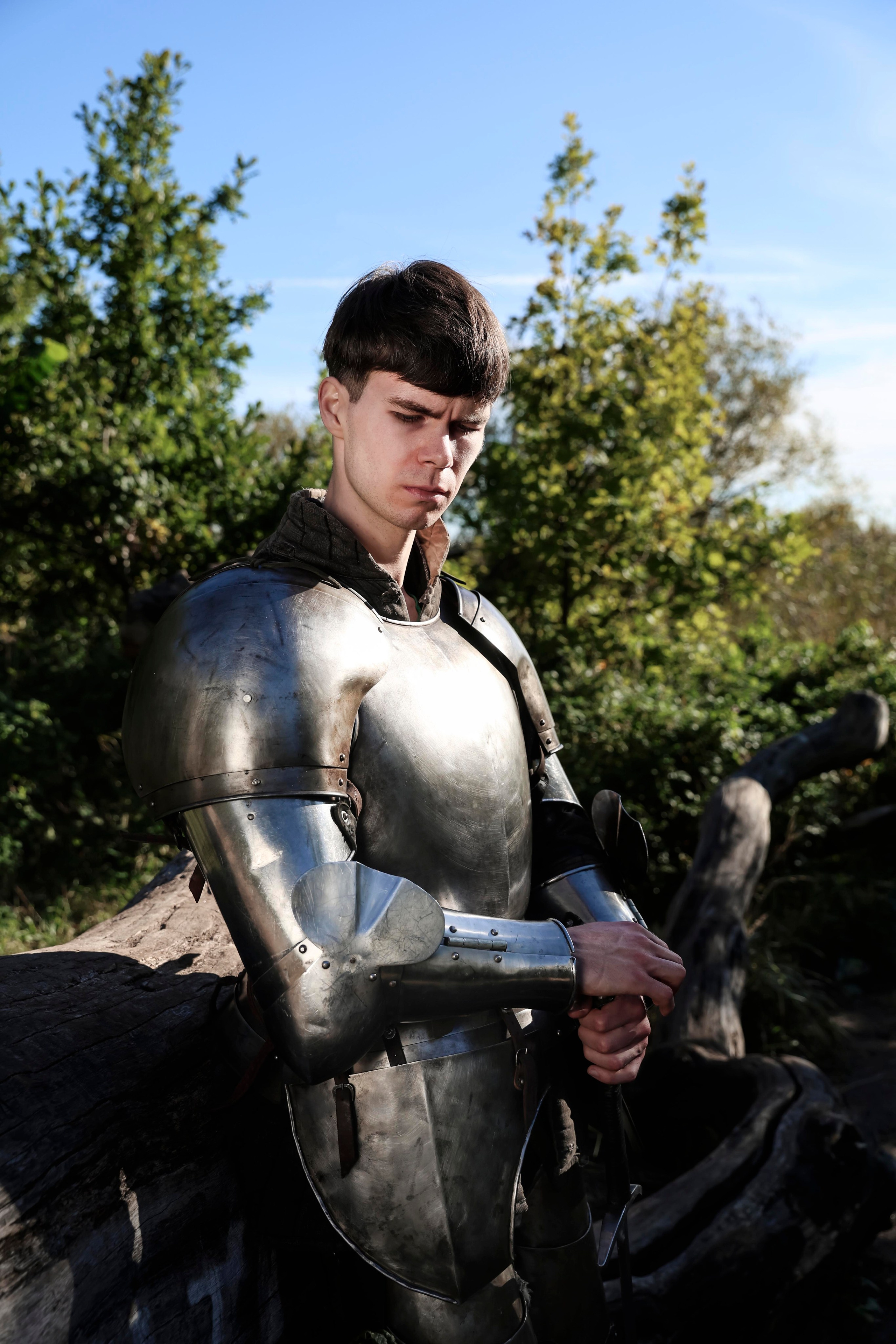 Knight. Dubrovina photo