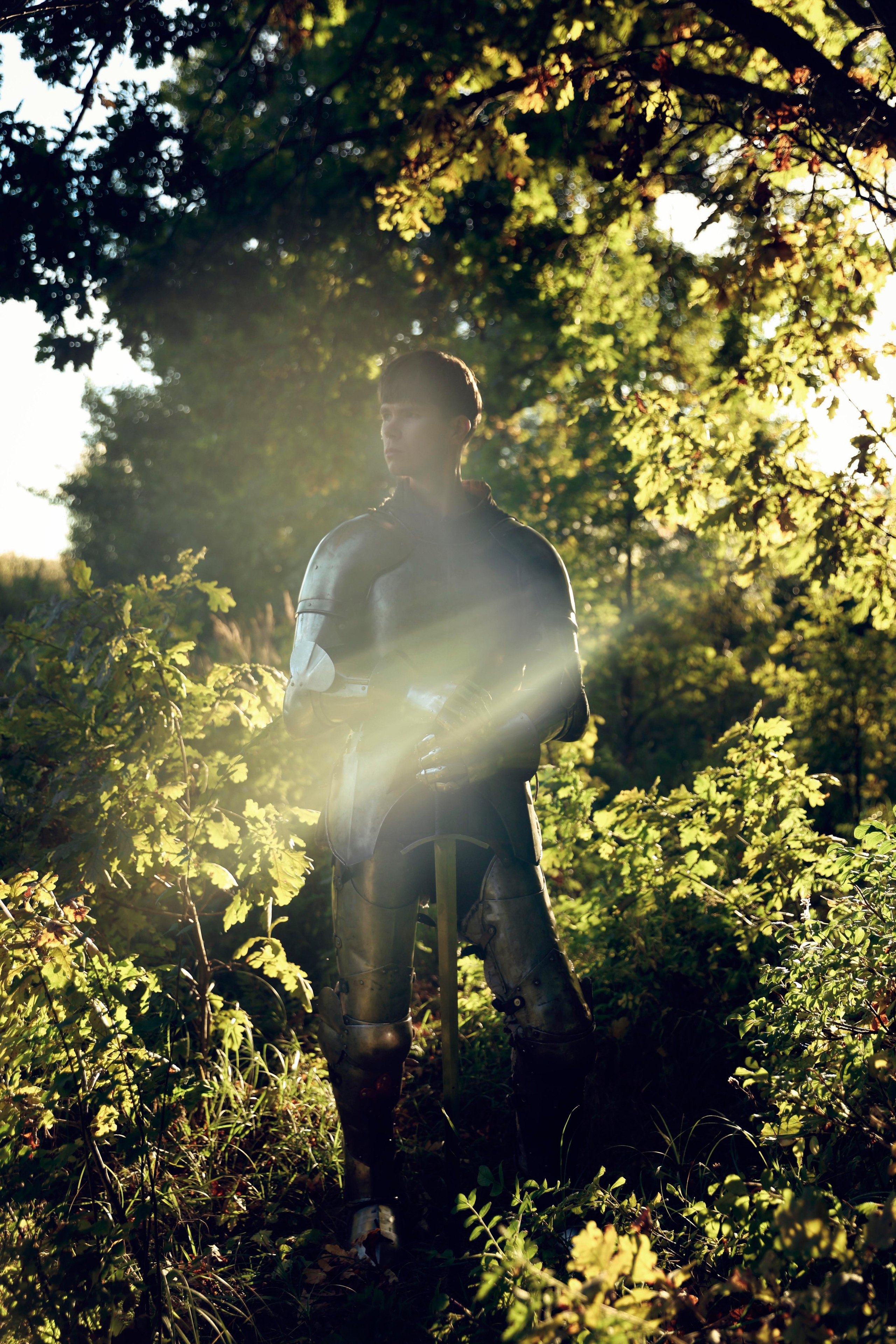 Knight. Dubrovina photo