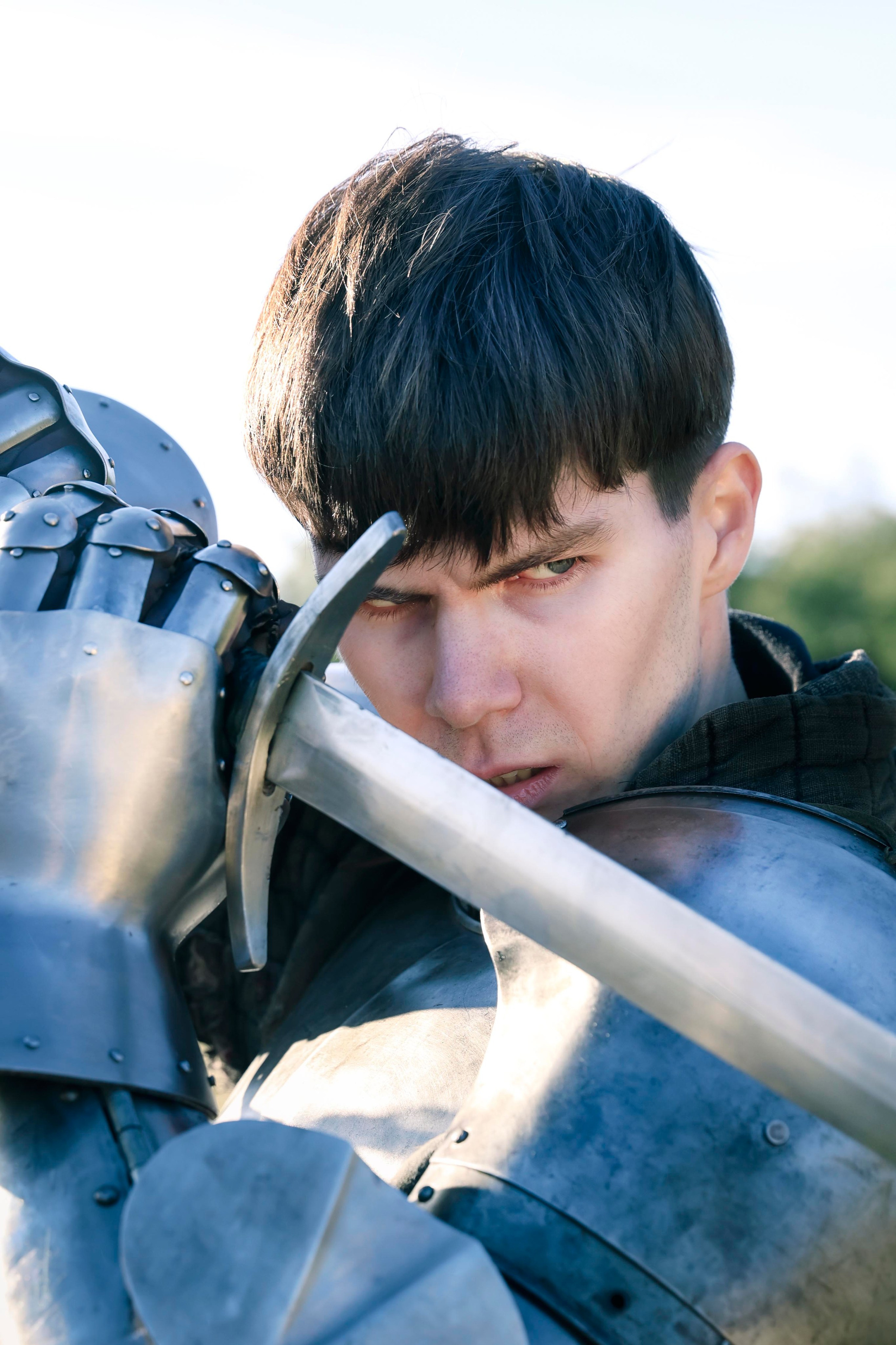 Knight. Dubrovina photo
