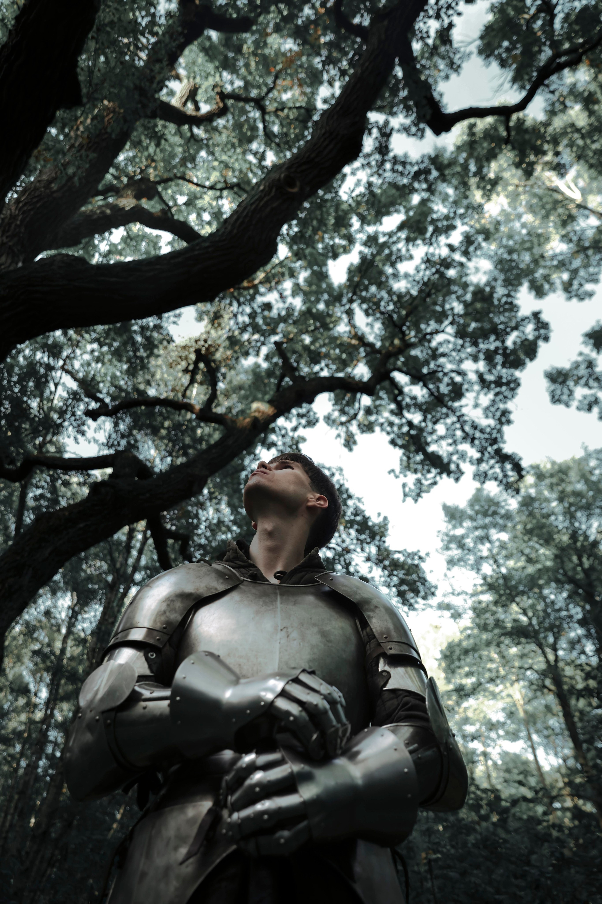 Knight. Dubrovina photo