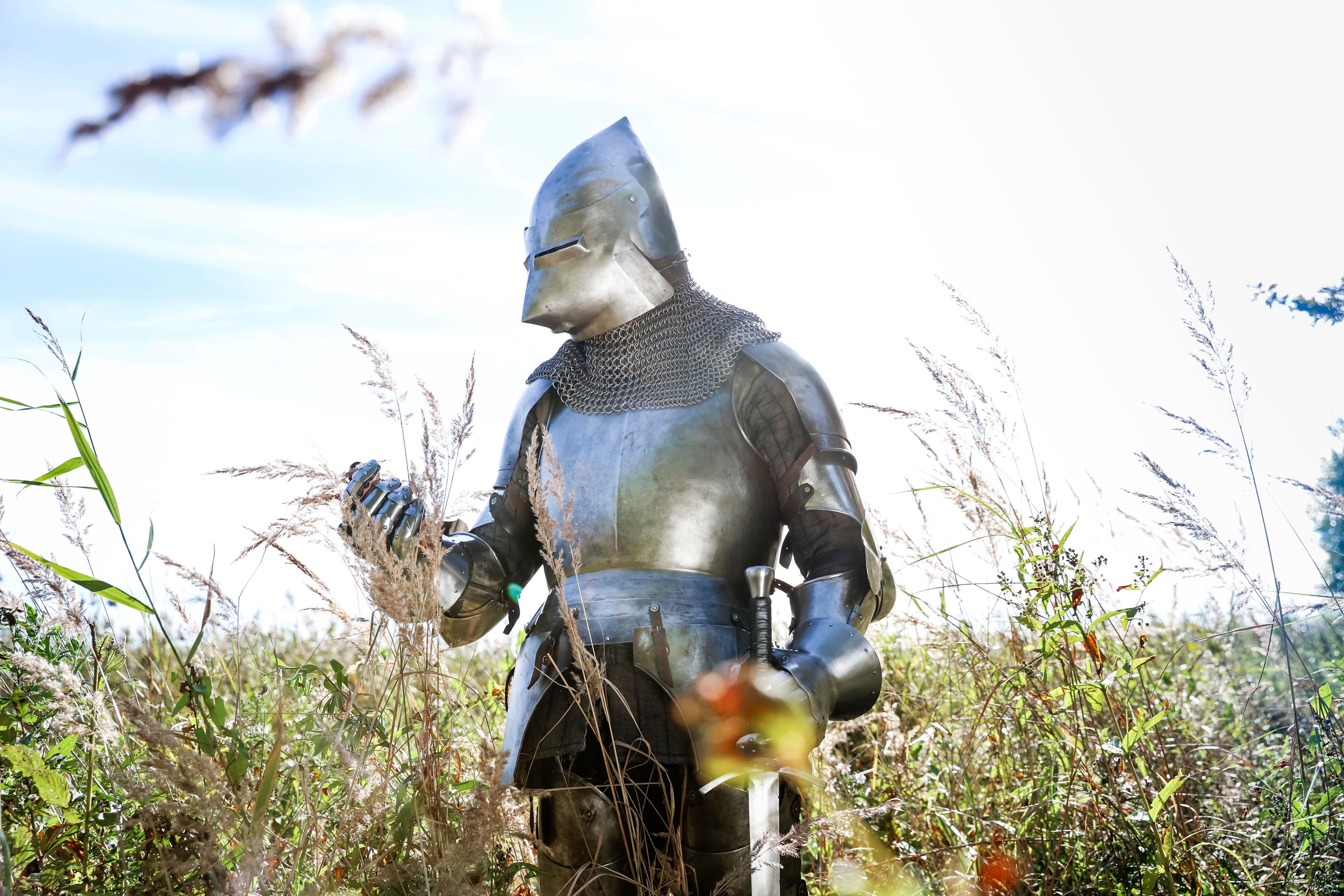 Knight. Dubrovina photo