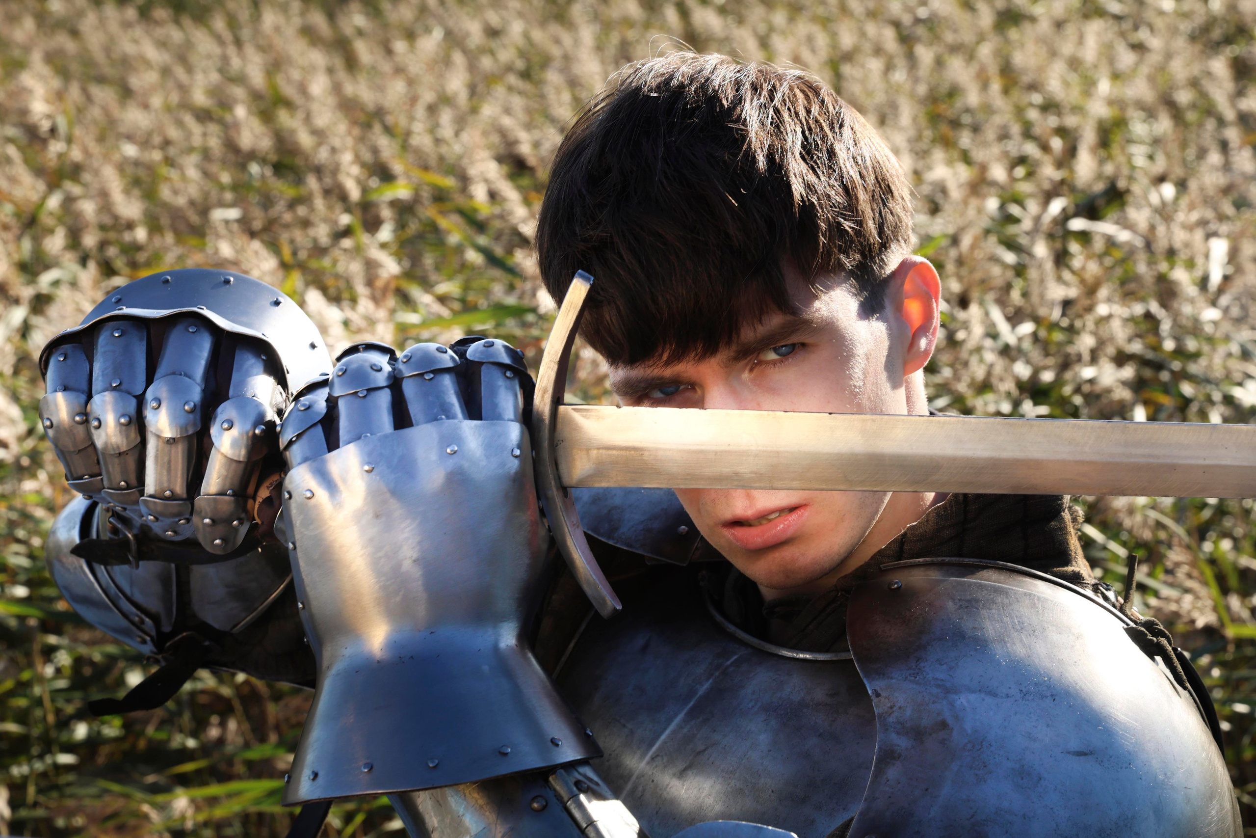 Knight. Dubrovina photo