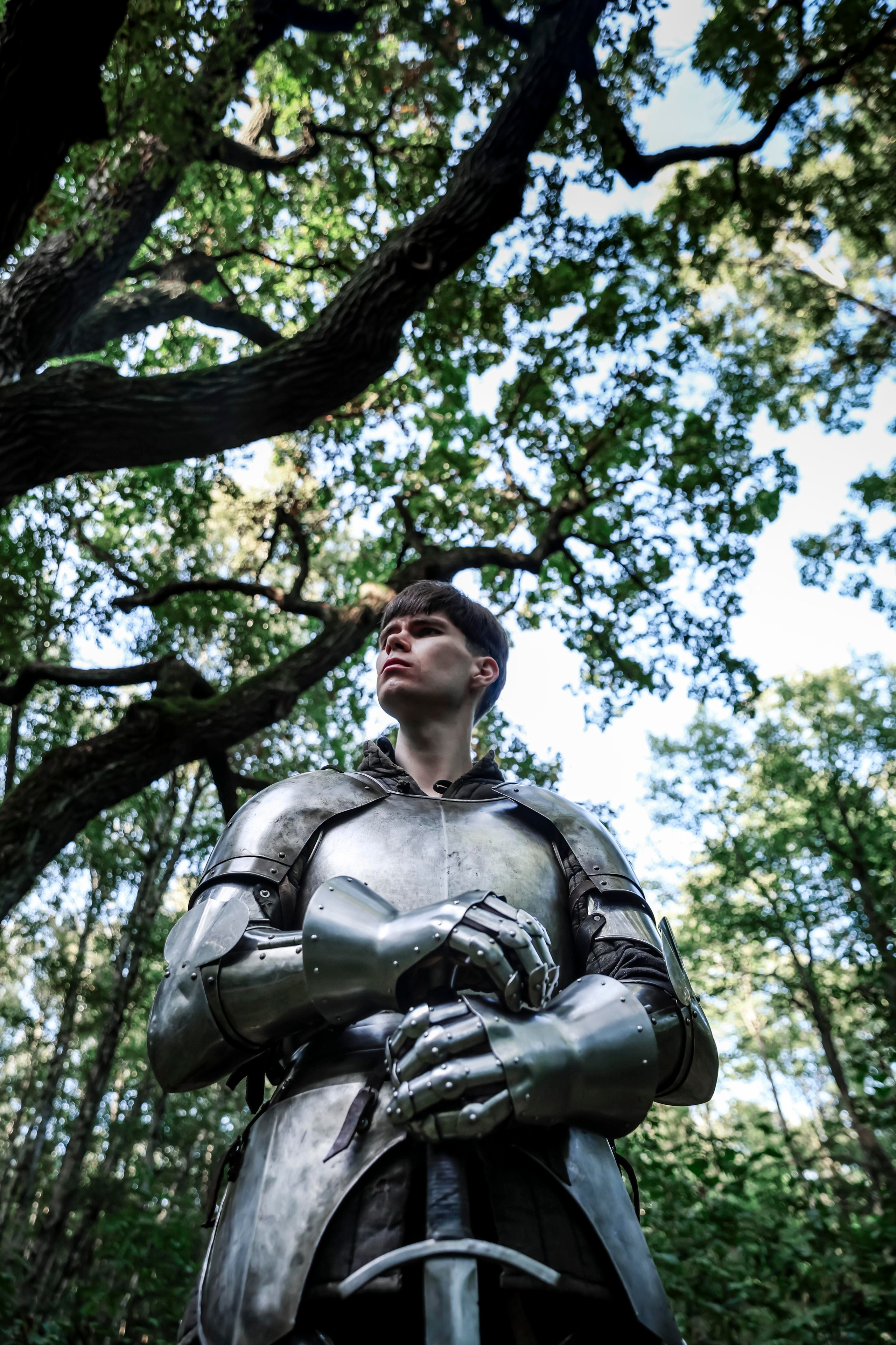 Knight. Dubrovina photo