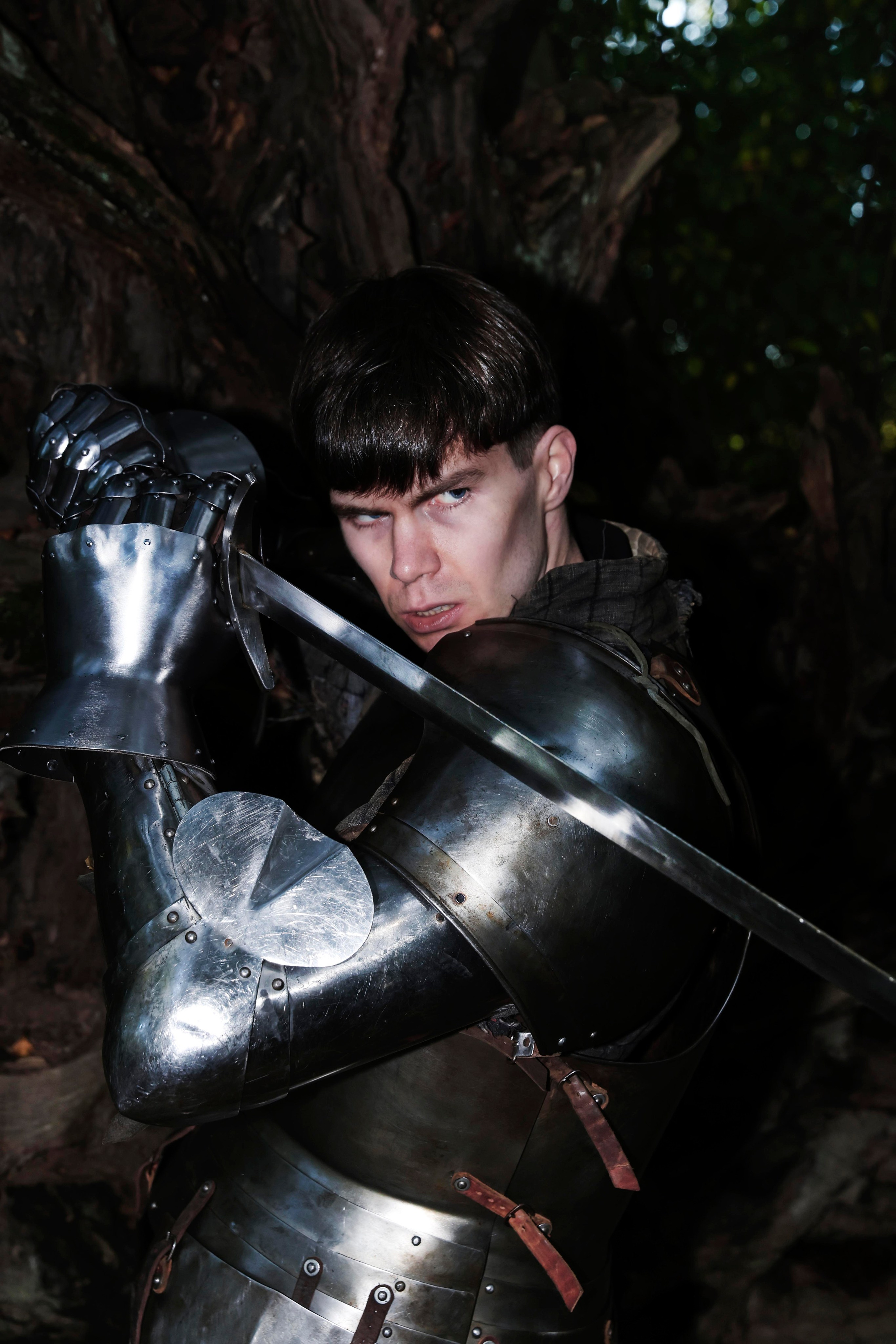 Knight. Dubrovina photo