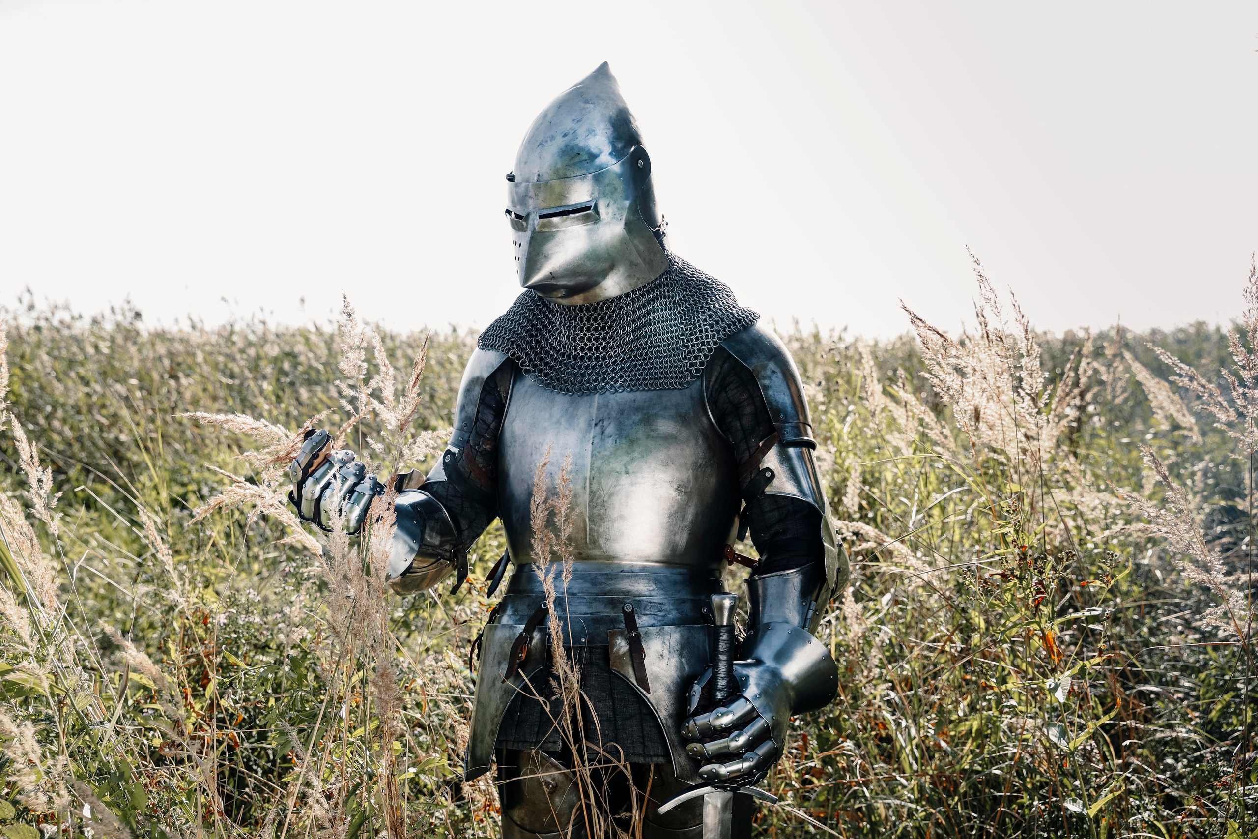 Knight. Dubrovina photo