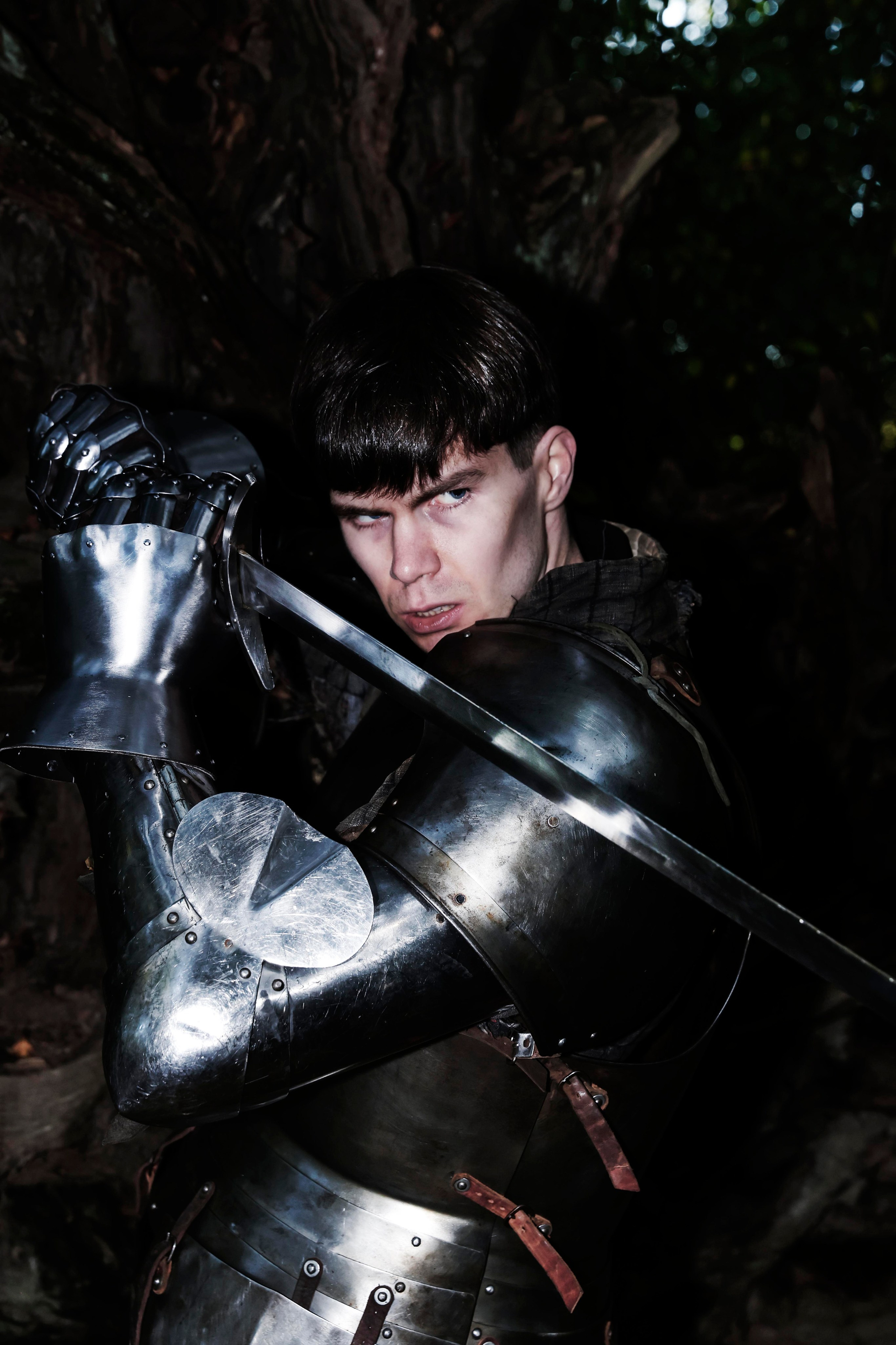 Knight. Dubrovina photo