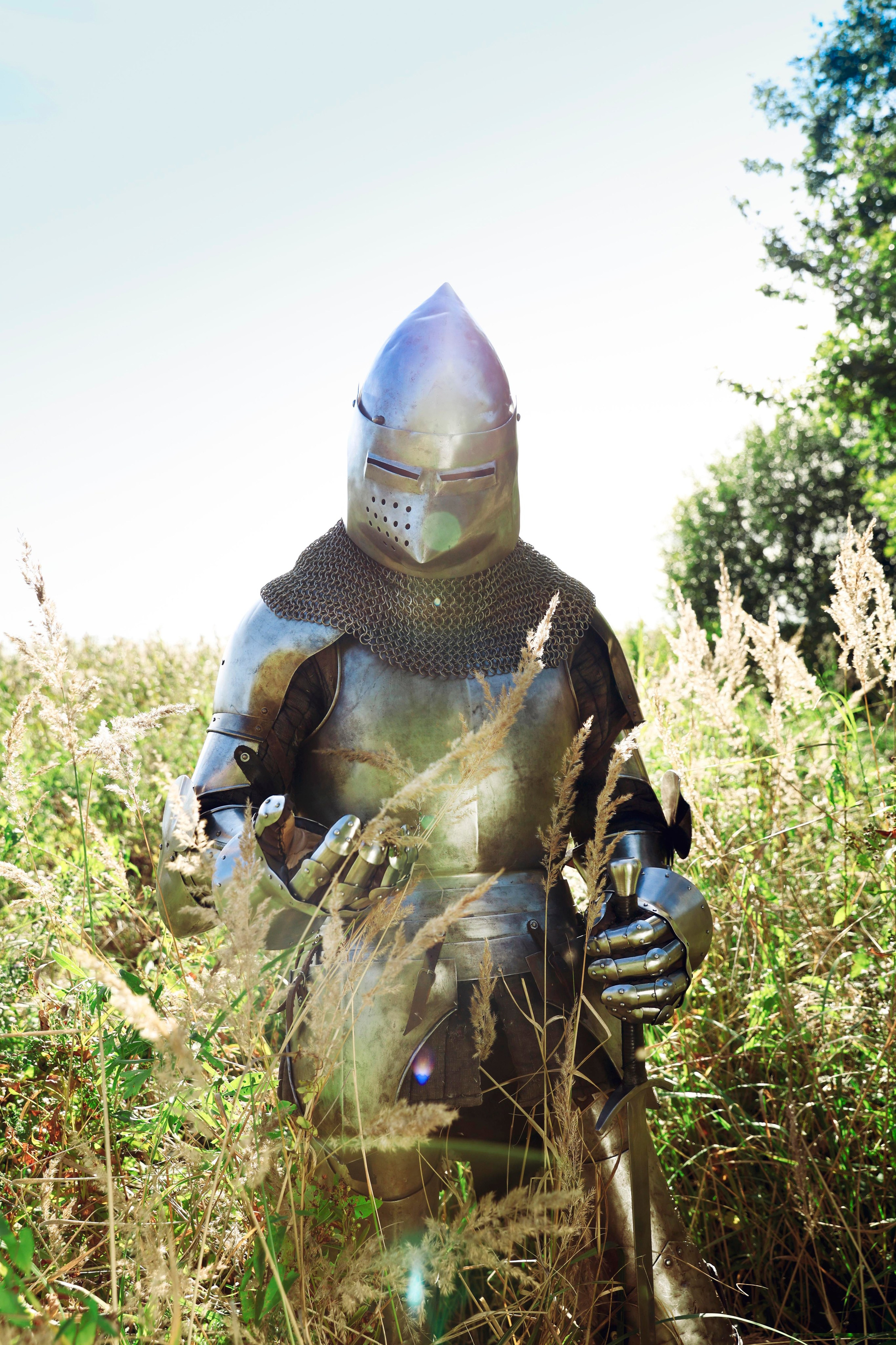 Knight. Dubrovina photo