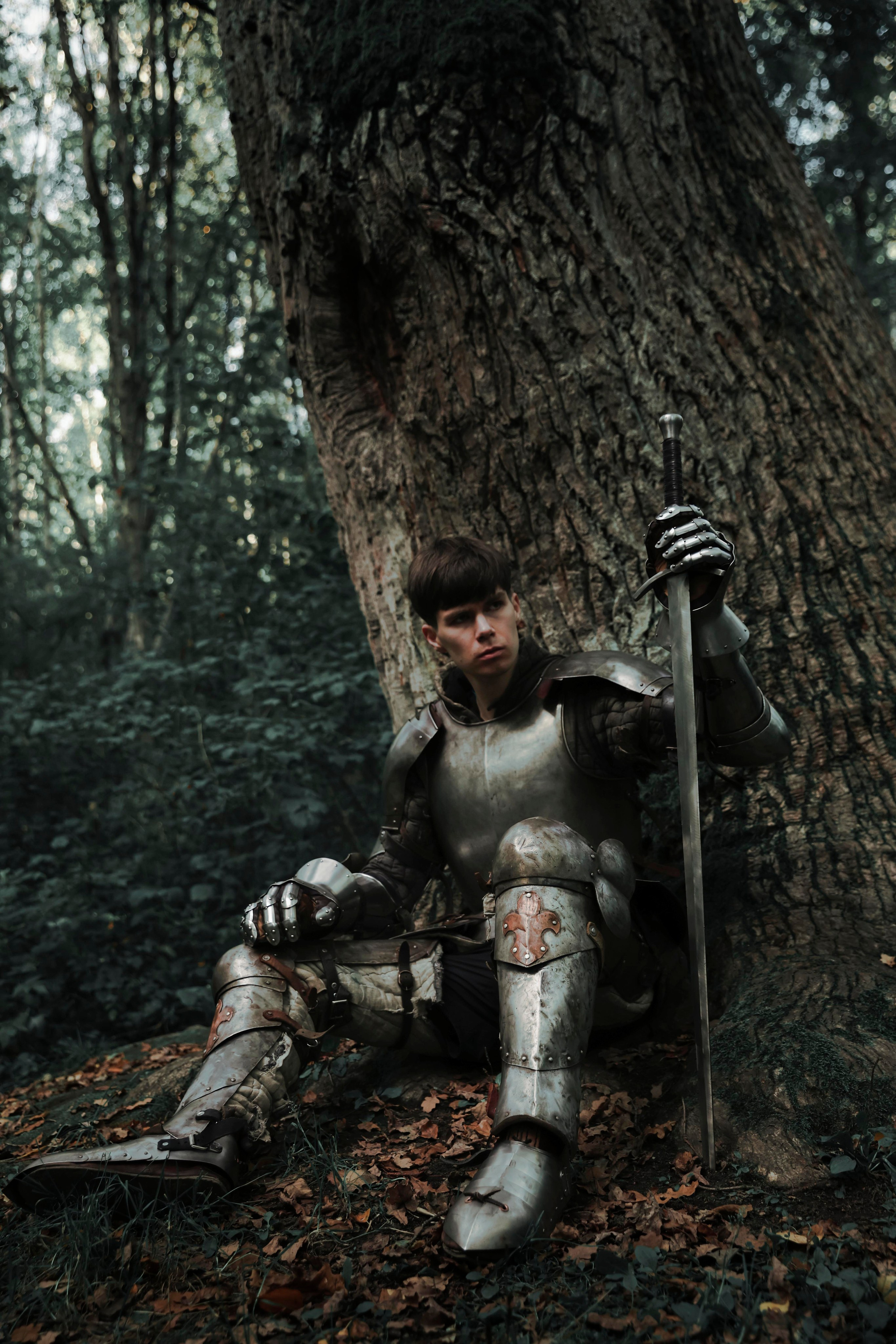 Knight. Dubrovina photo