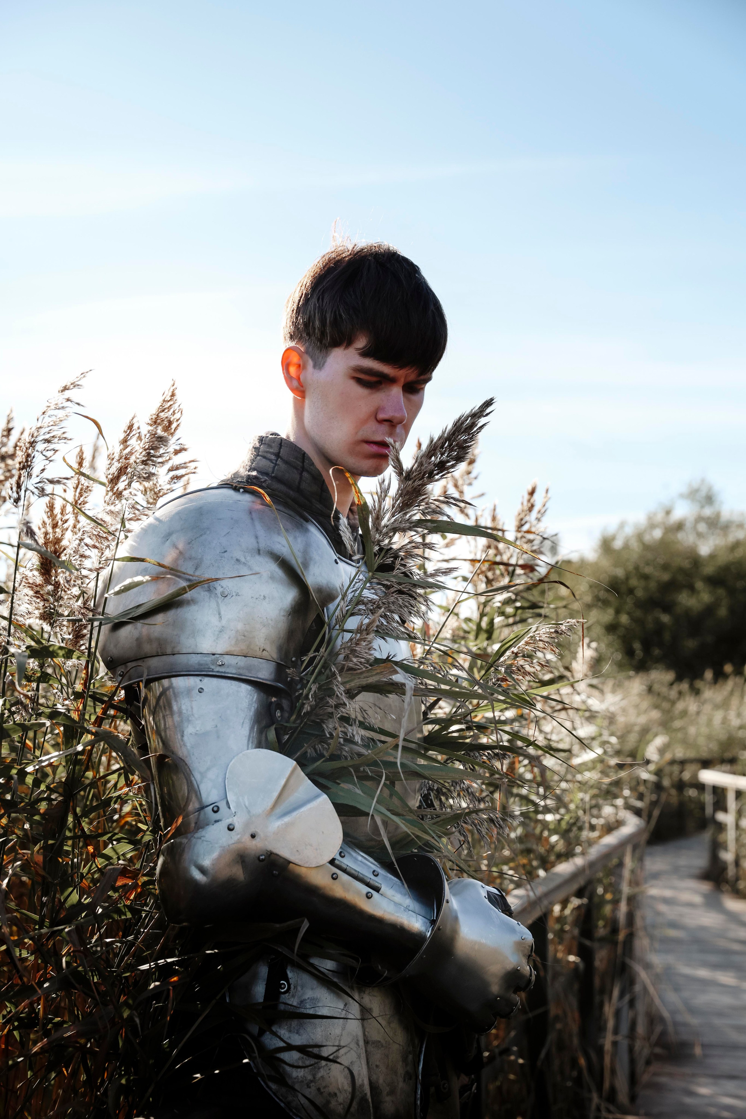 Knight. Dubrovina photo