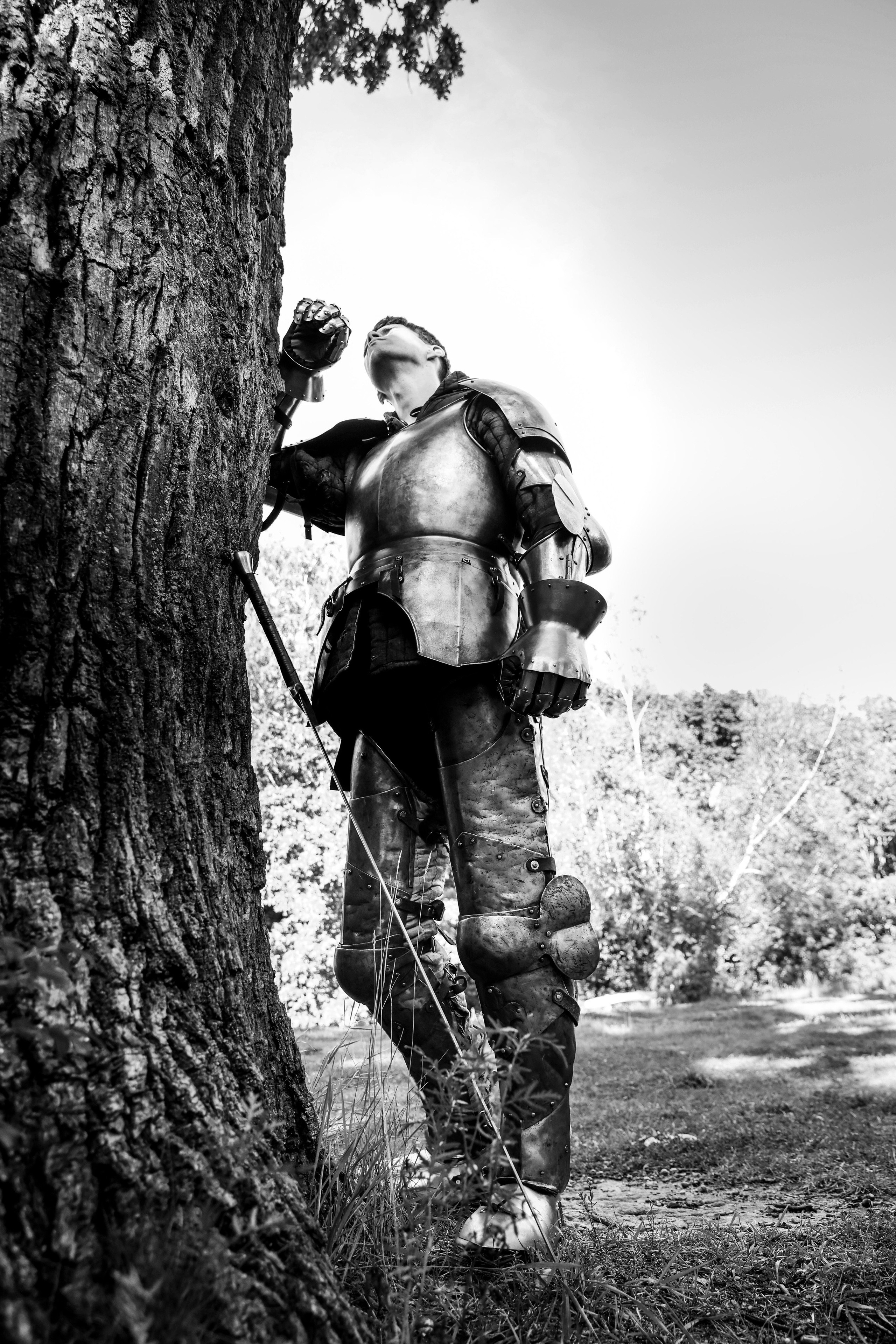 Knight. Dubrovina photo