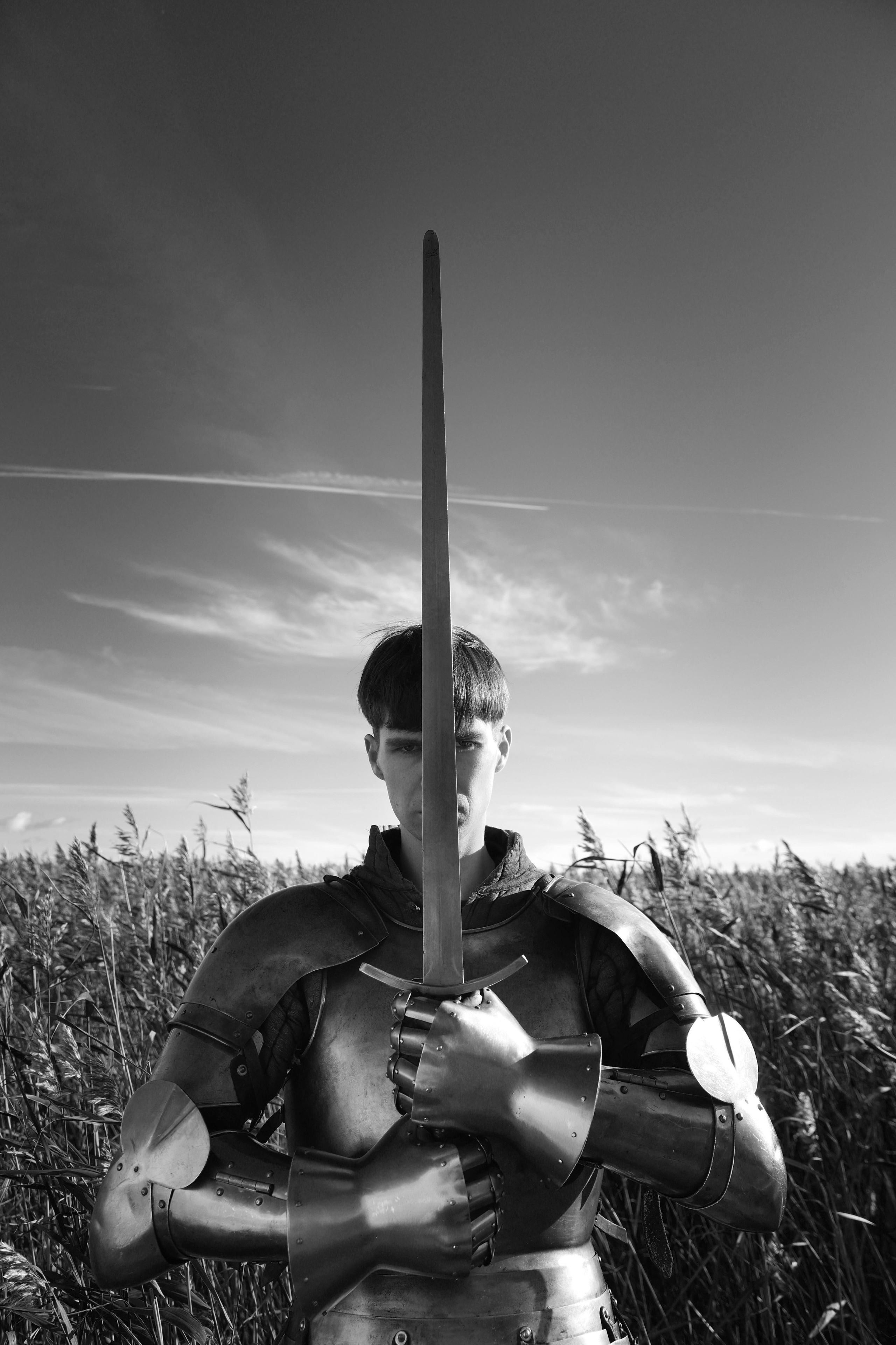 Knight. Dubrovina photo