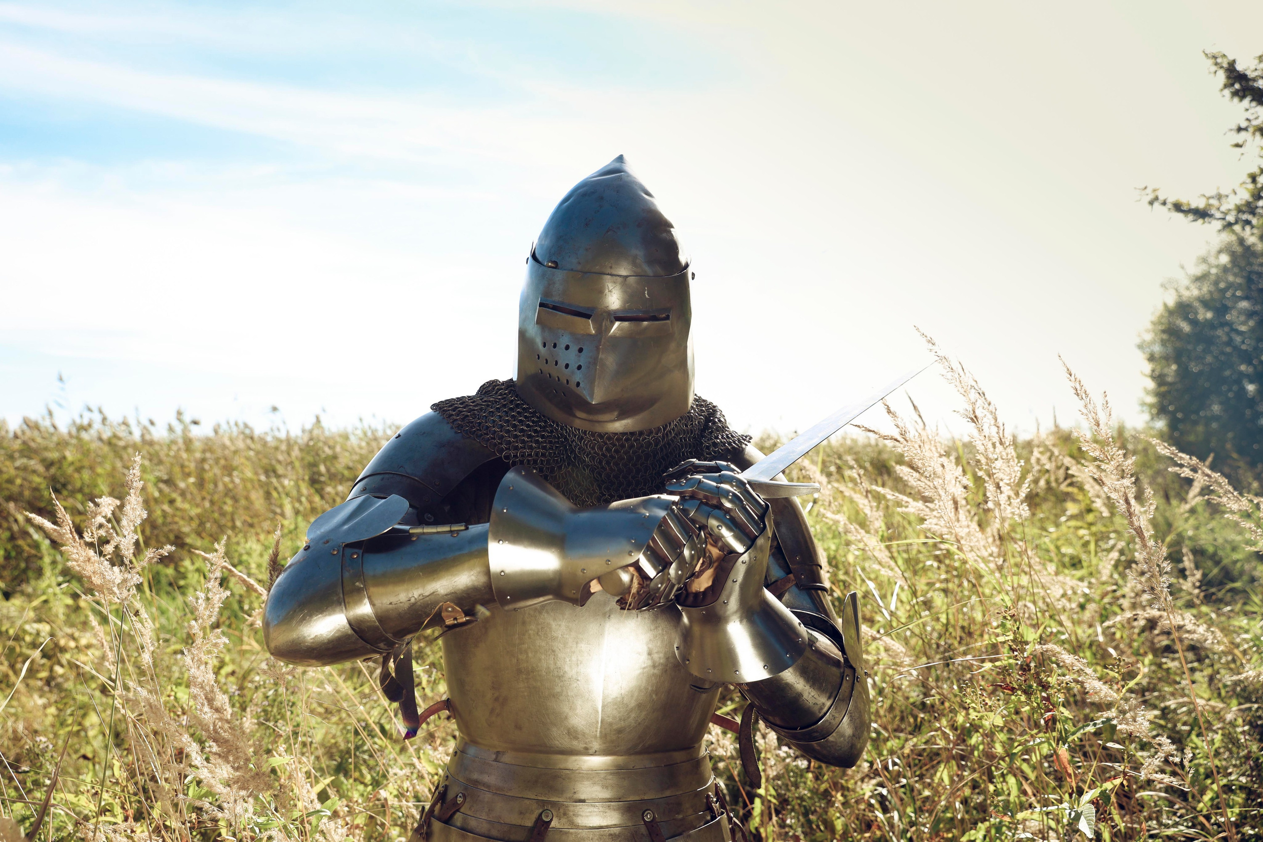 Knight. Dubrovina photo