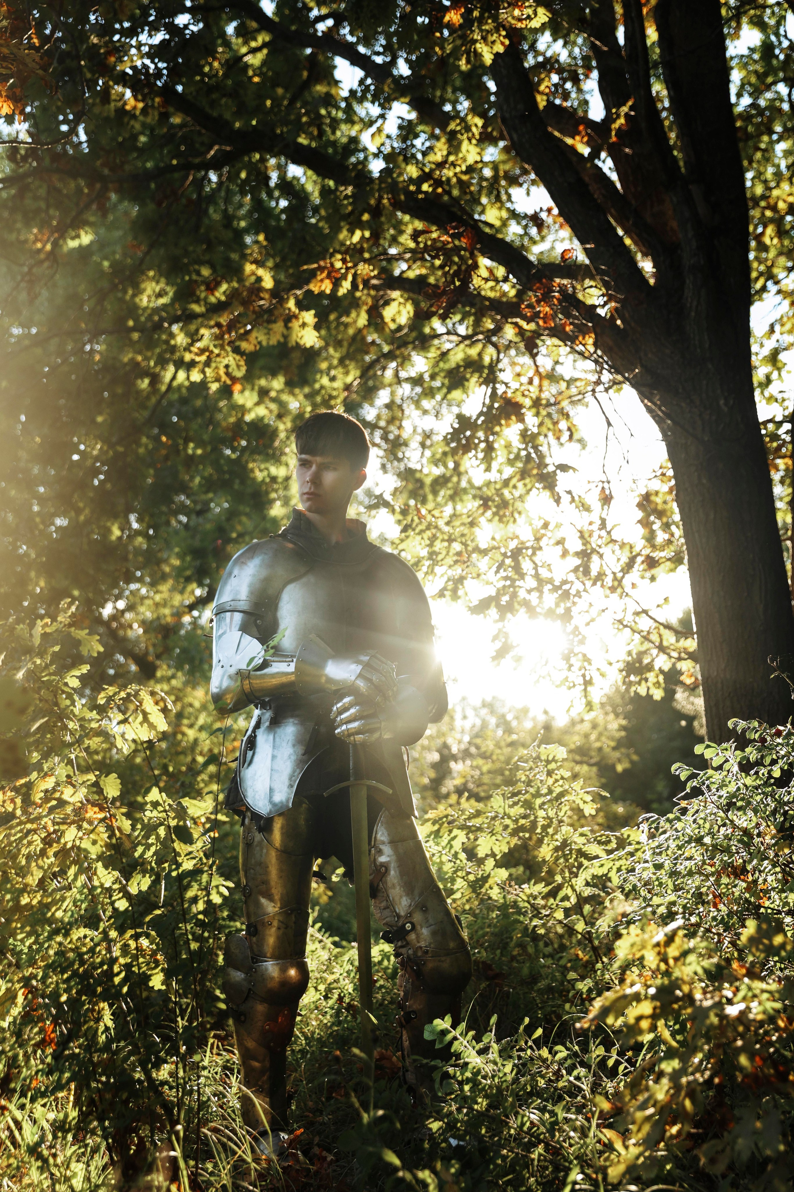 Knight. Dubrovina photo