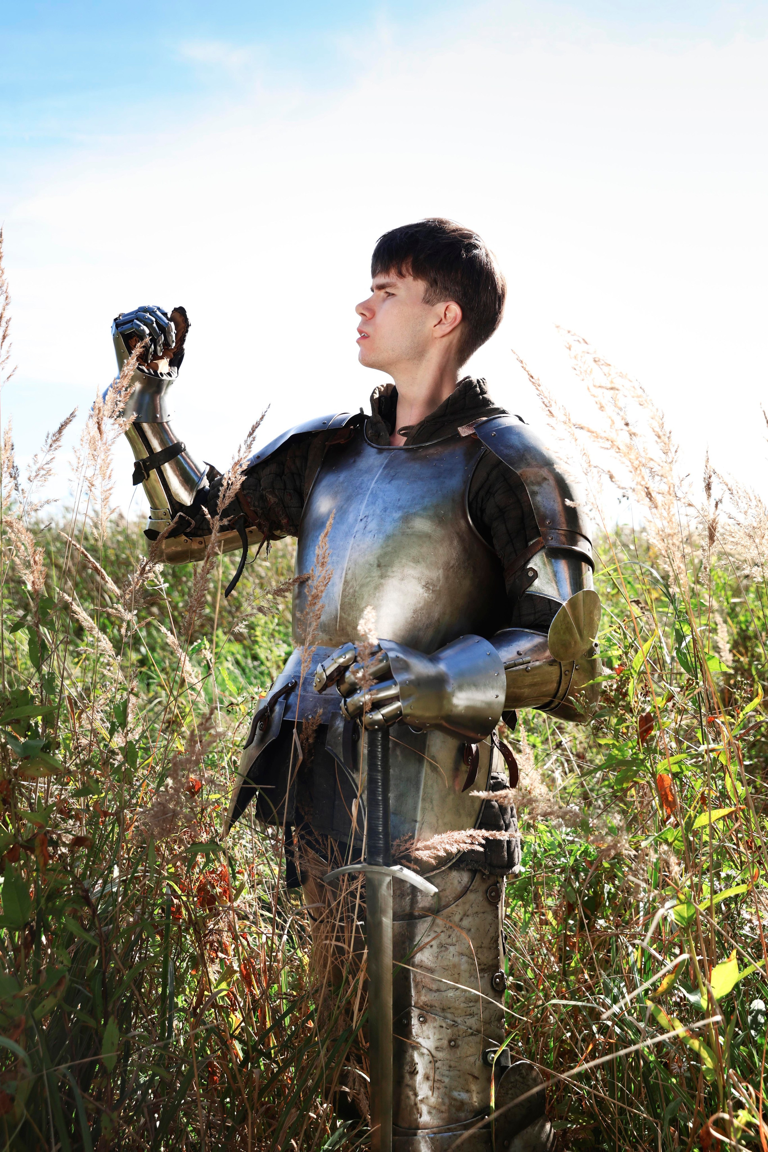 Knight. Dubrovina photo