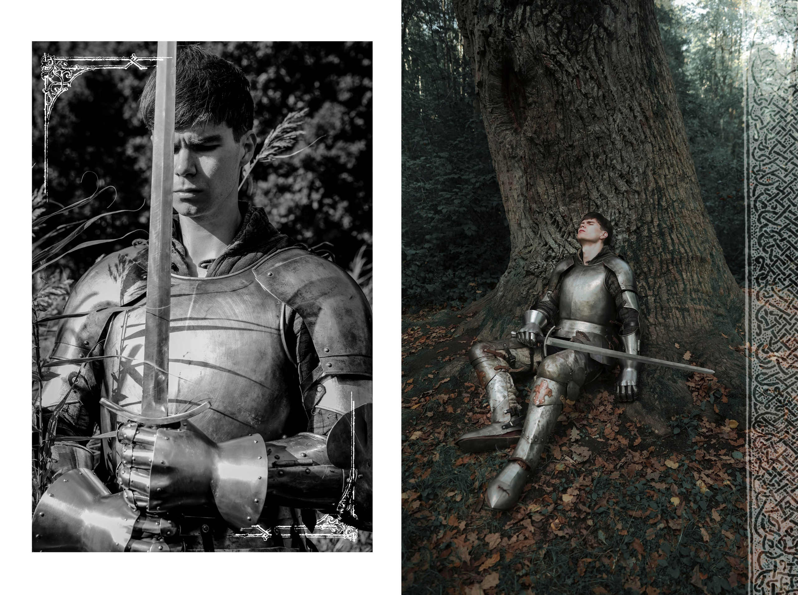 Knight. Dubrovina photo