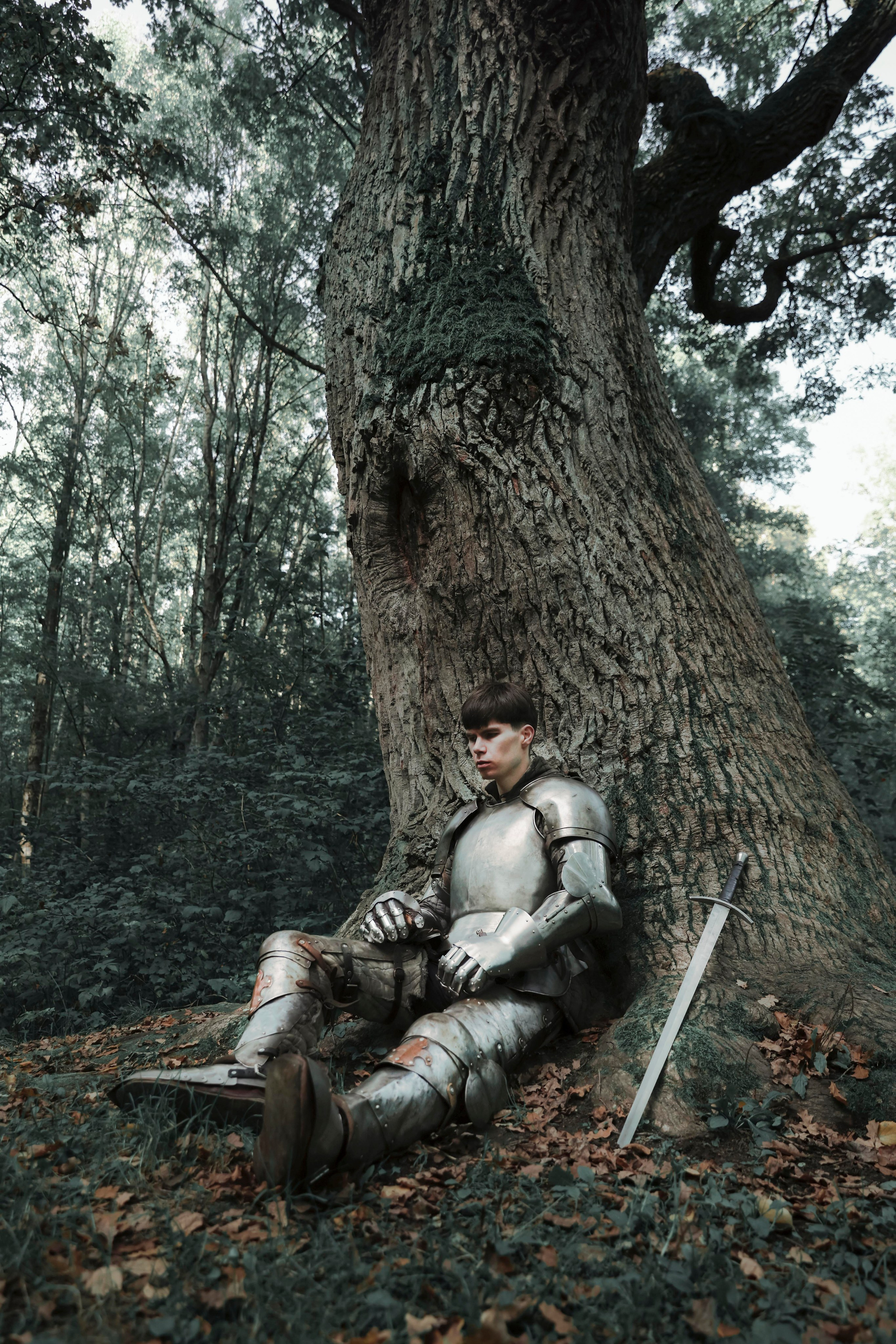 Knight. Dubrovina photo