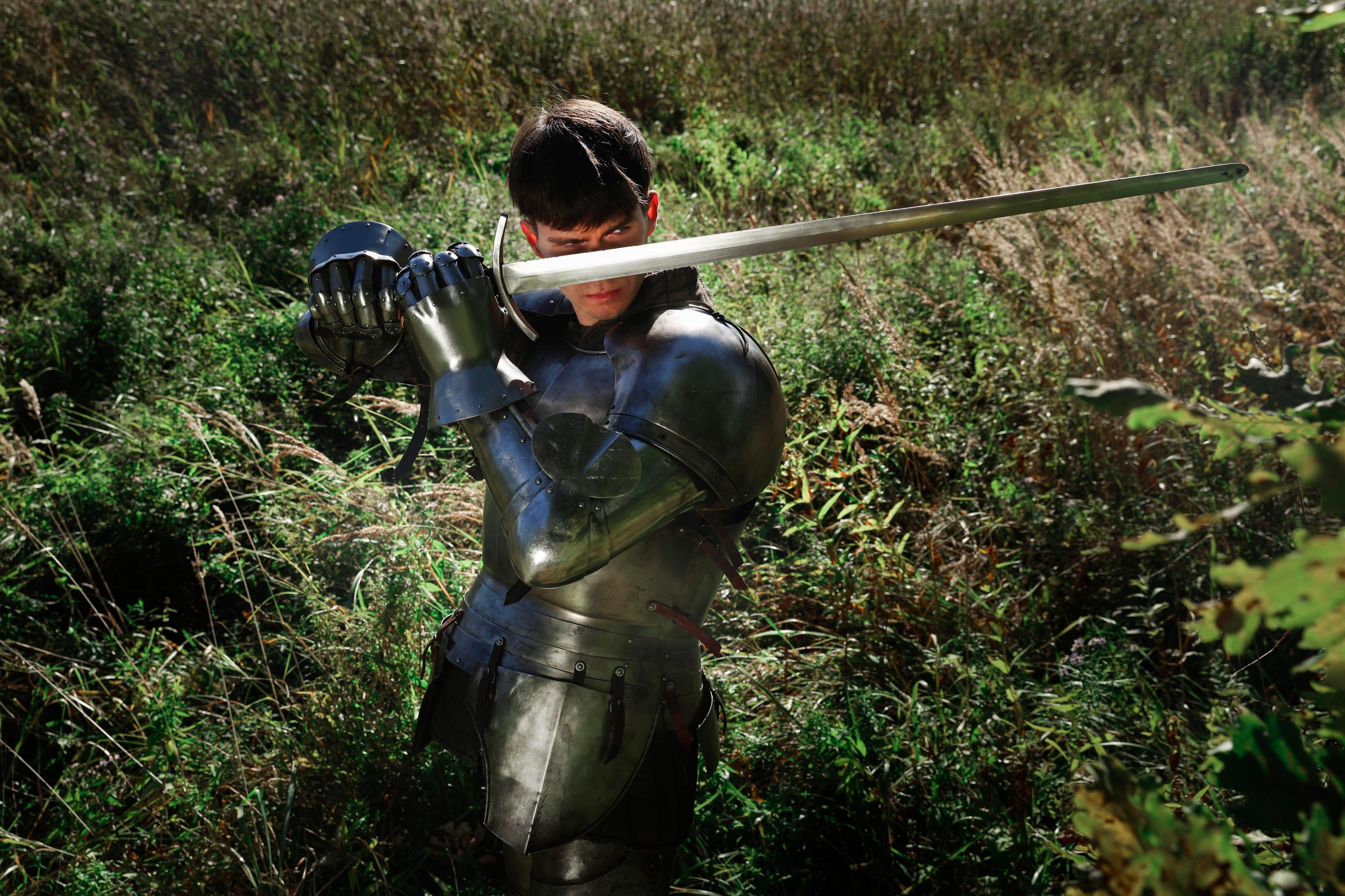 Knight. Dubrovina photo