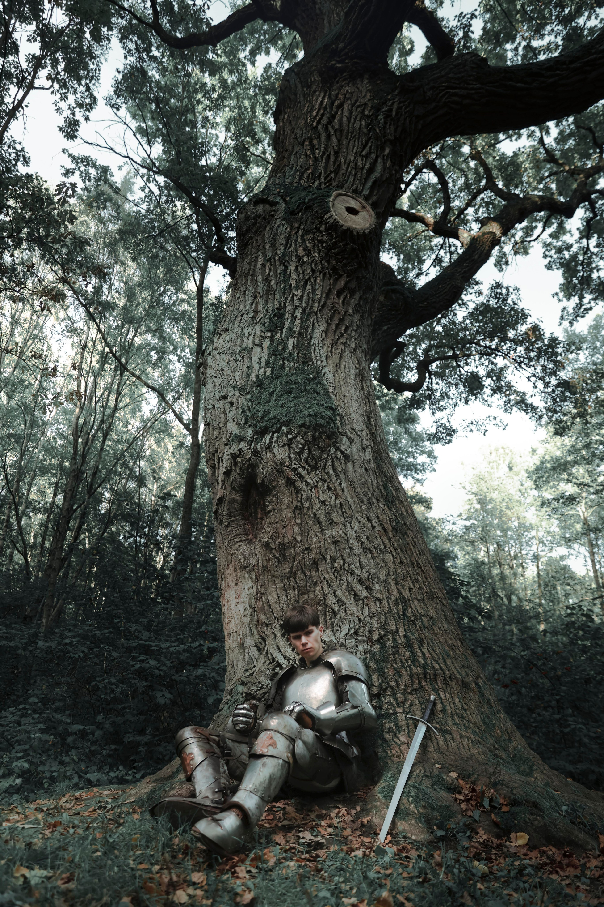 Knight. Dubrovina photo