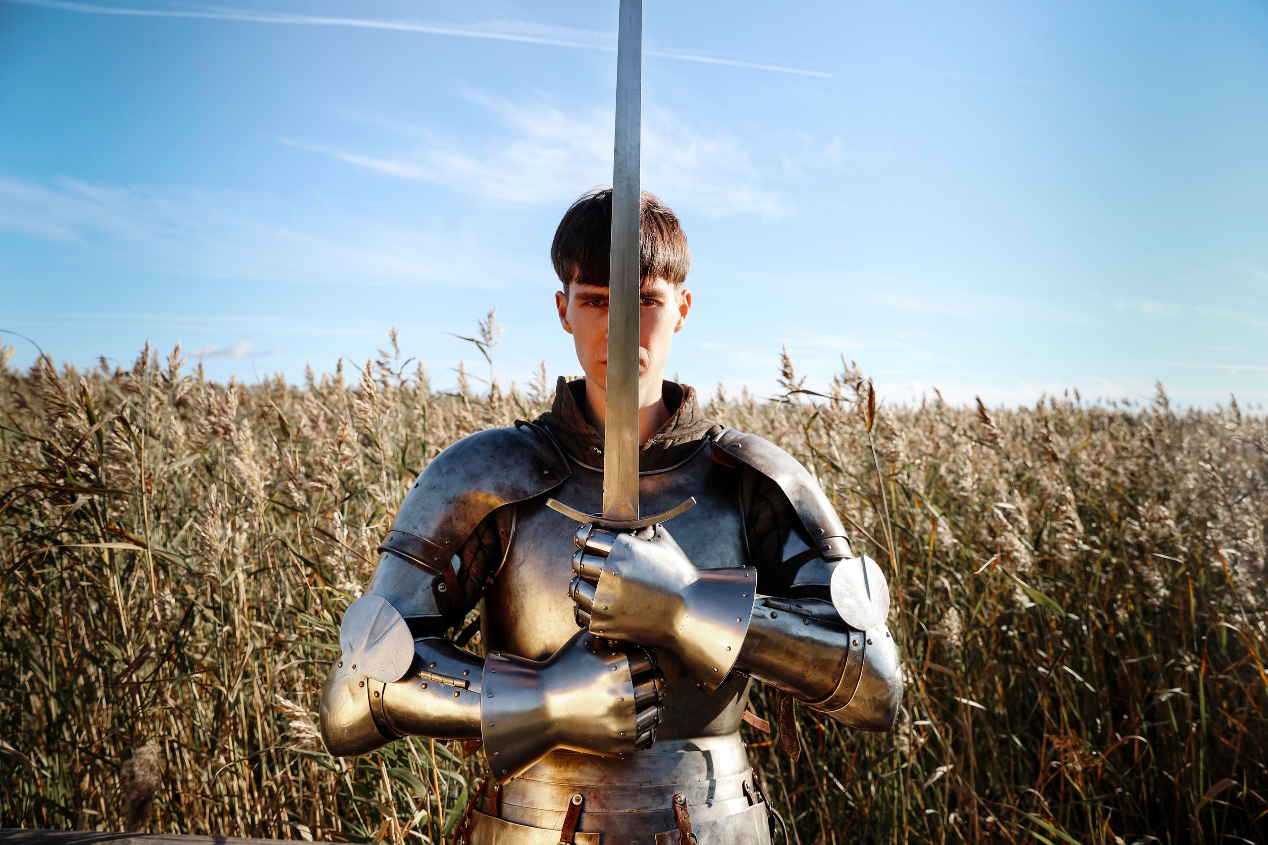 Knight. Dubrovina photo