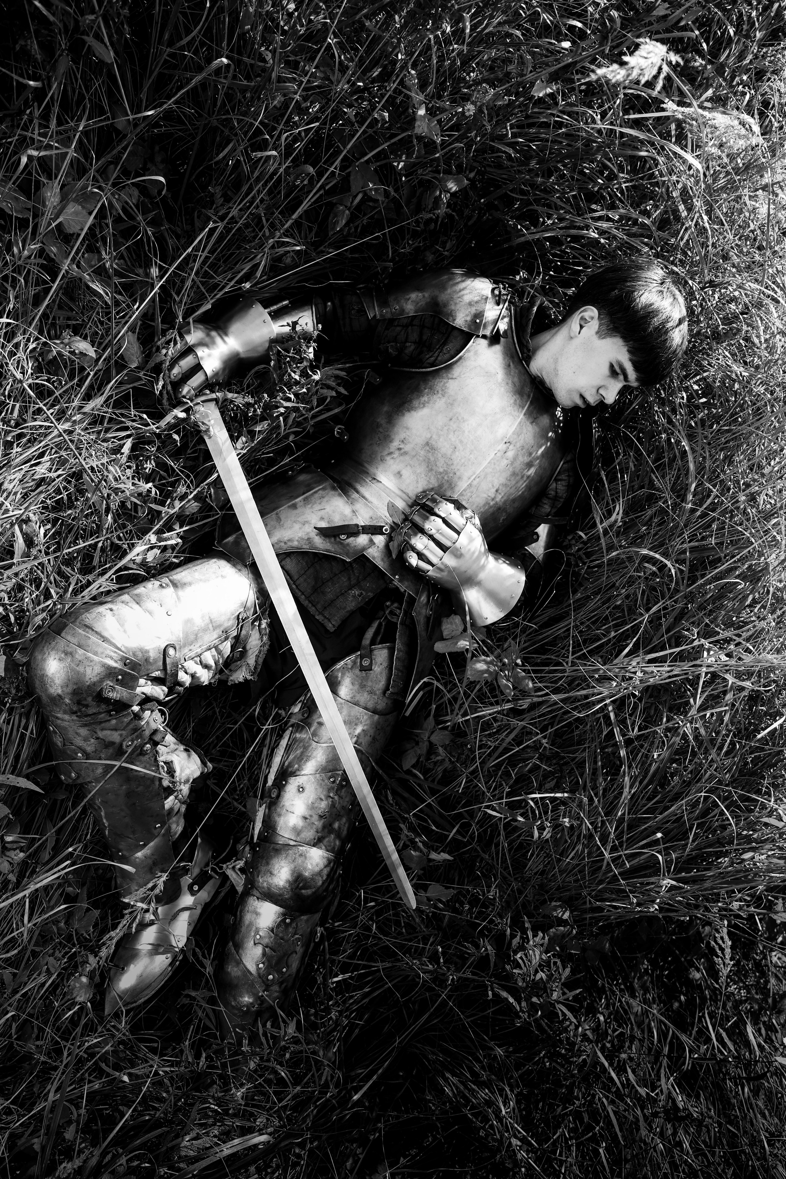 Knight. Dubrovina photo