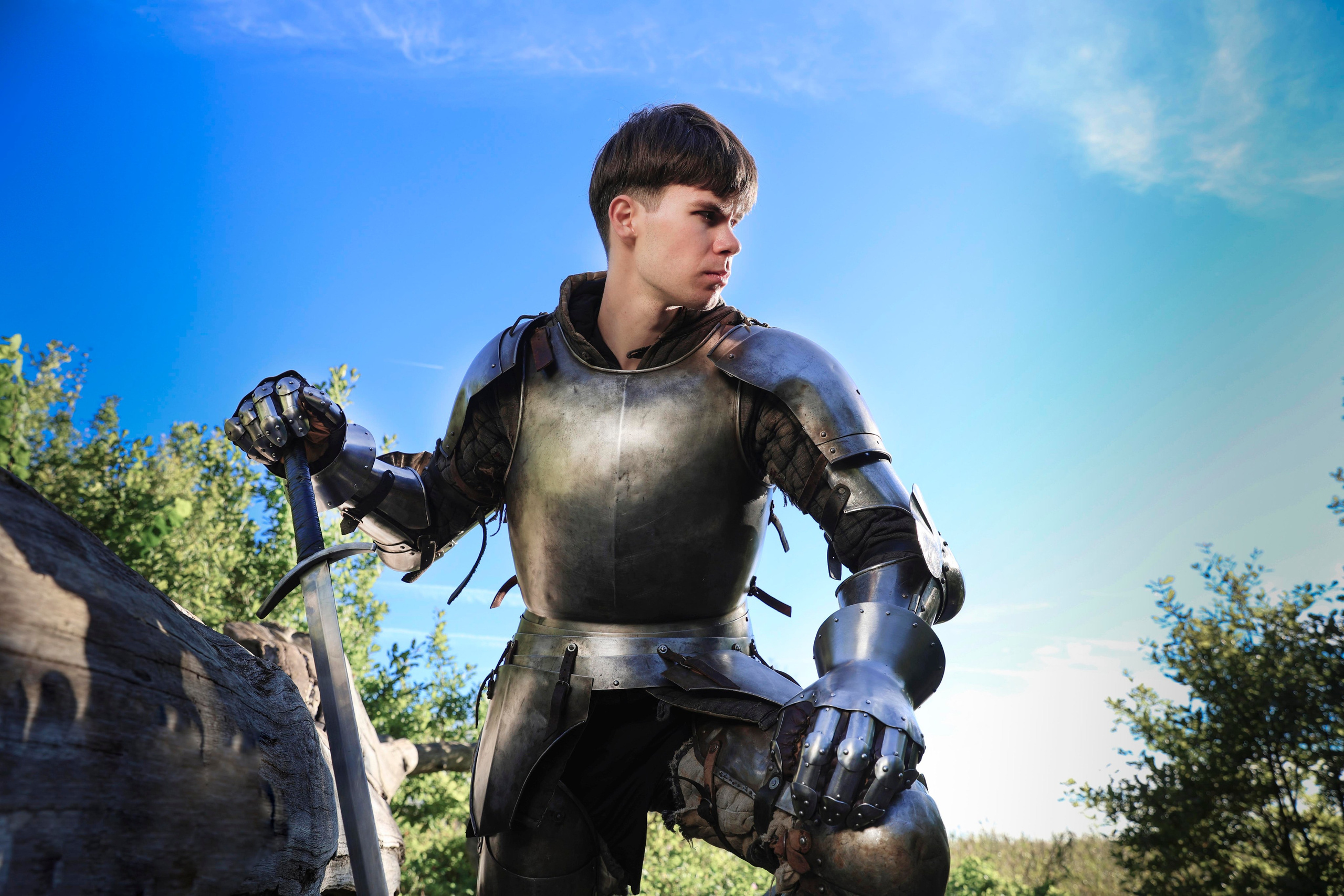 Knight. Dubrovina photo