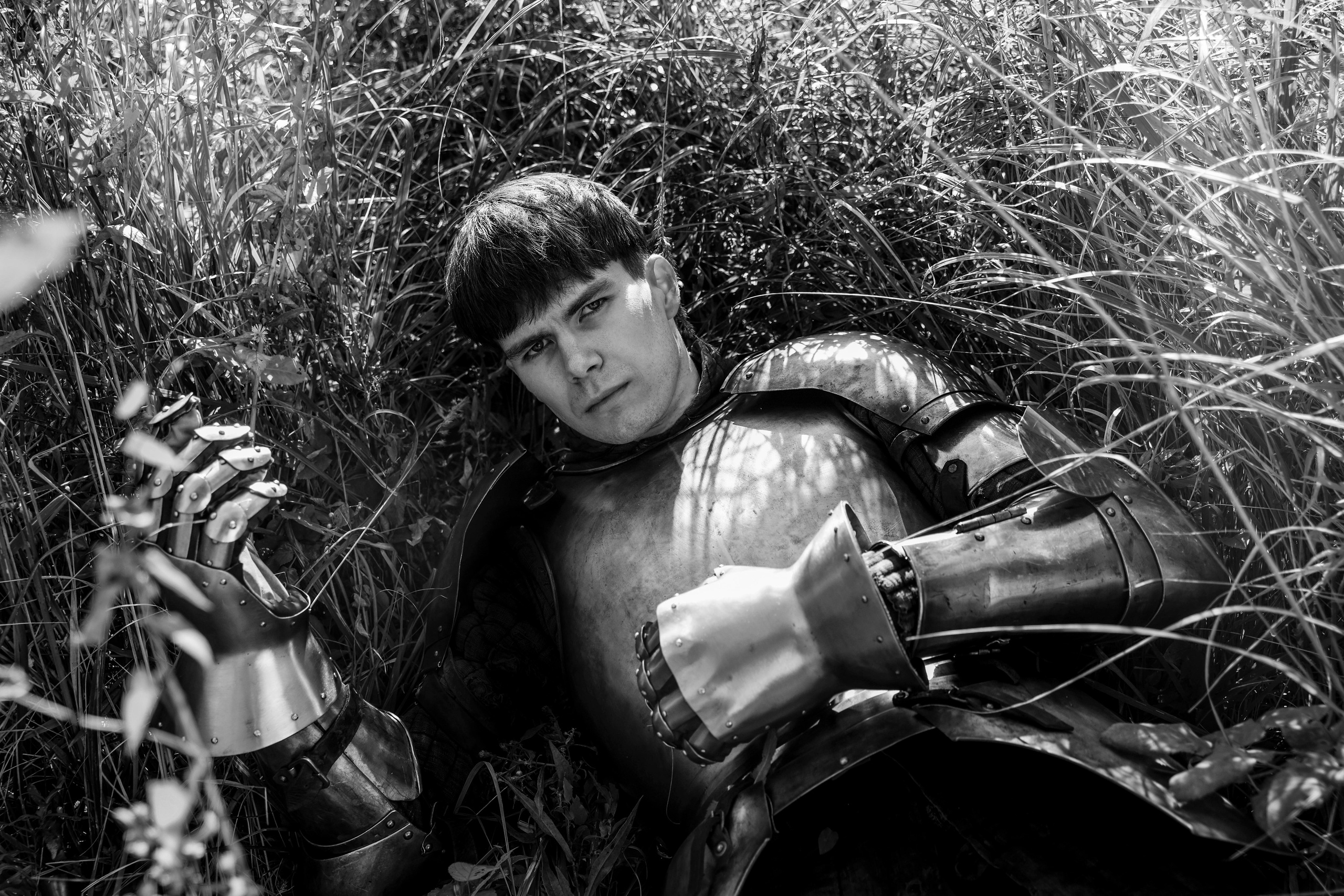 Knight. Dubrovina photo
