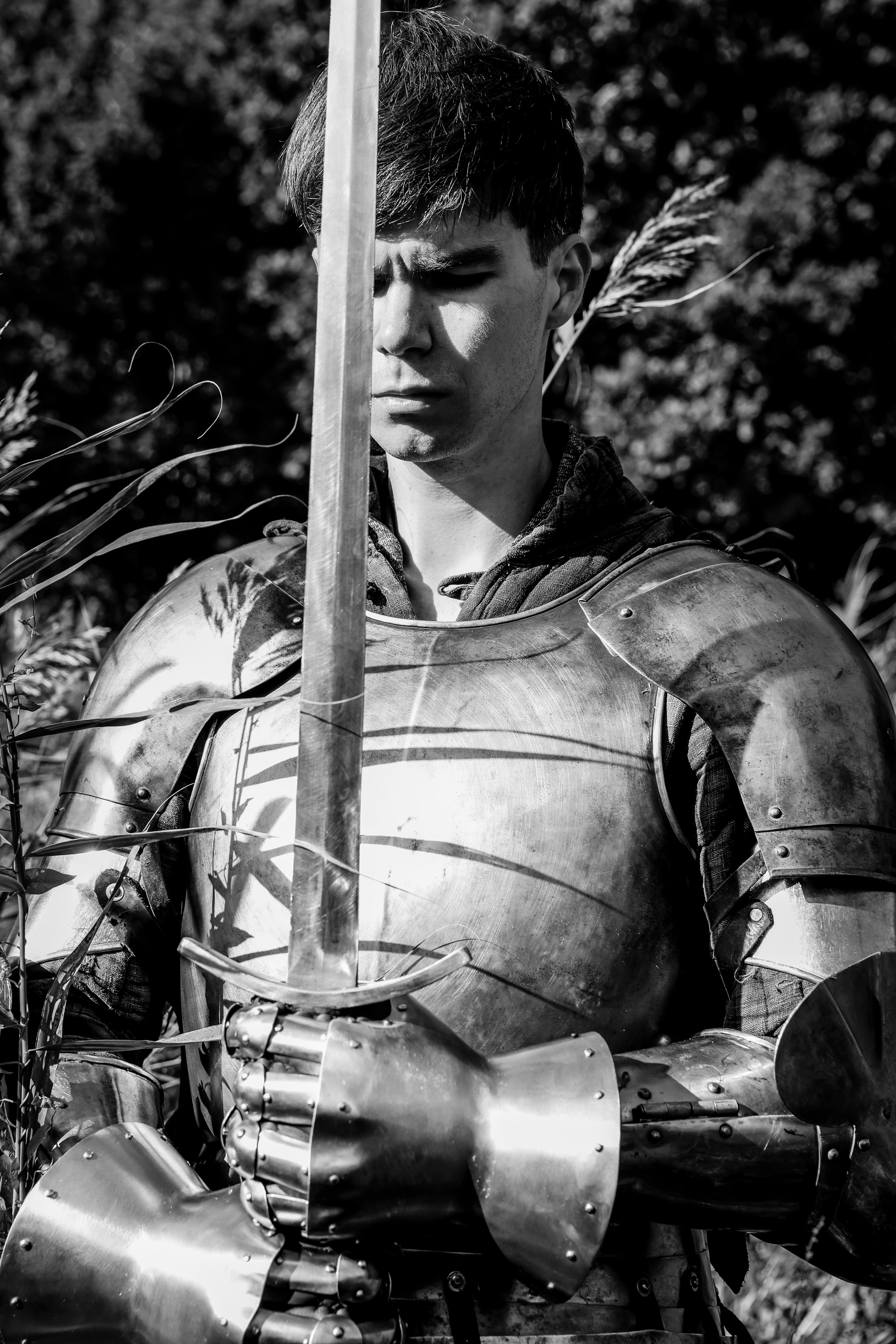 Knight. Dubrovina photo