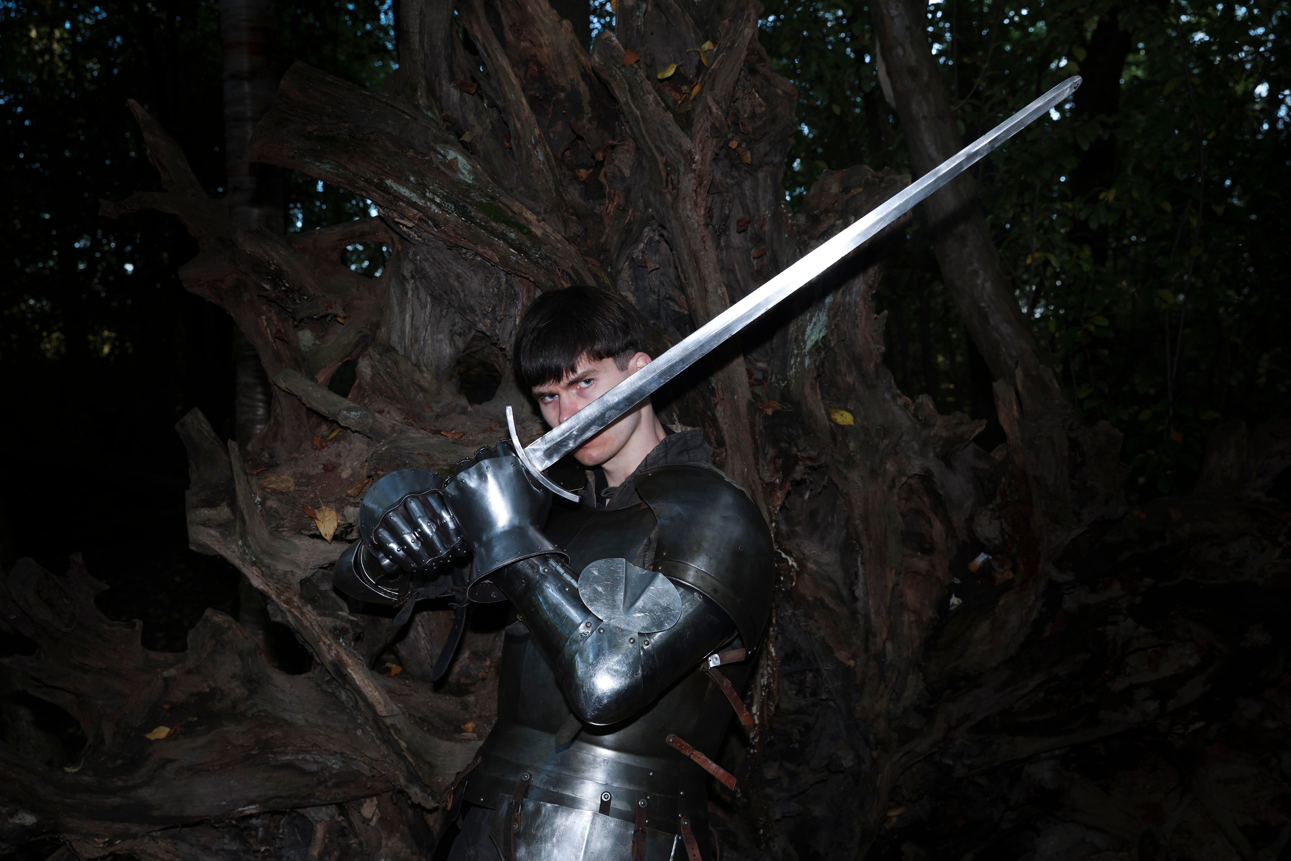 Knight. Dubrovina photo